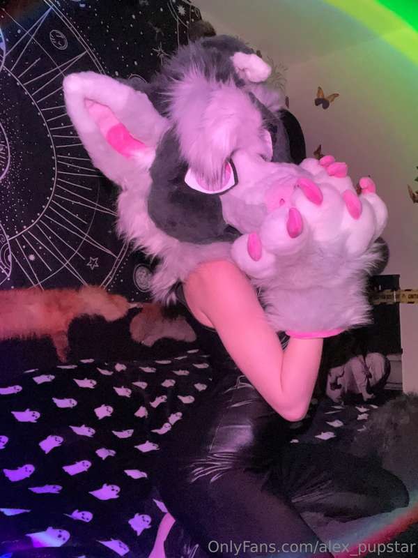 Ikkle Vixen Photo #13