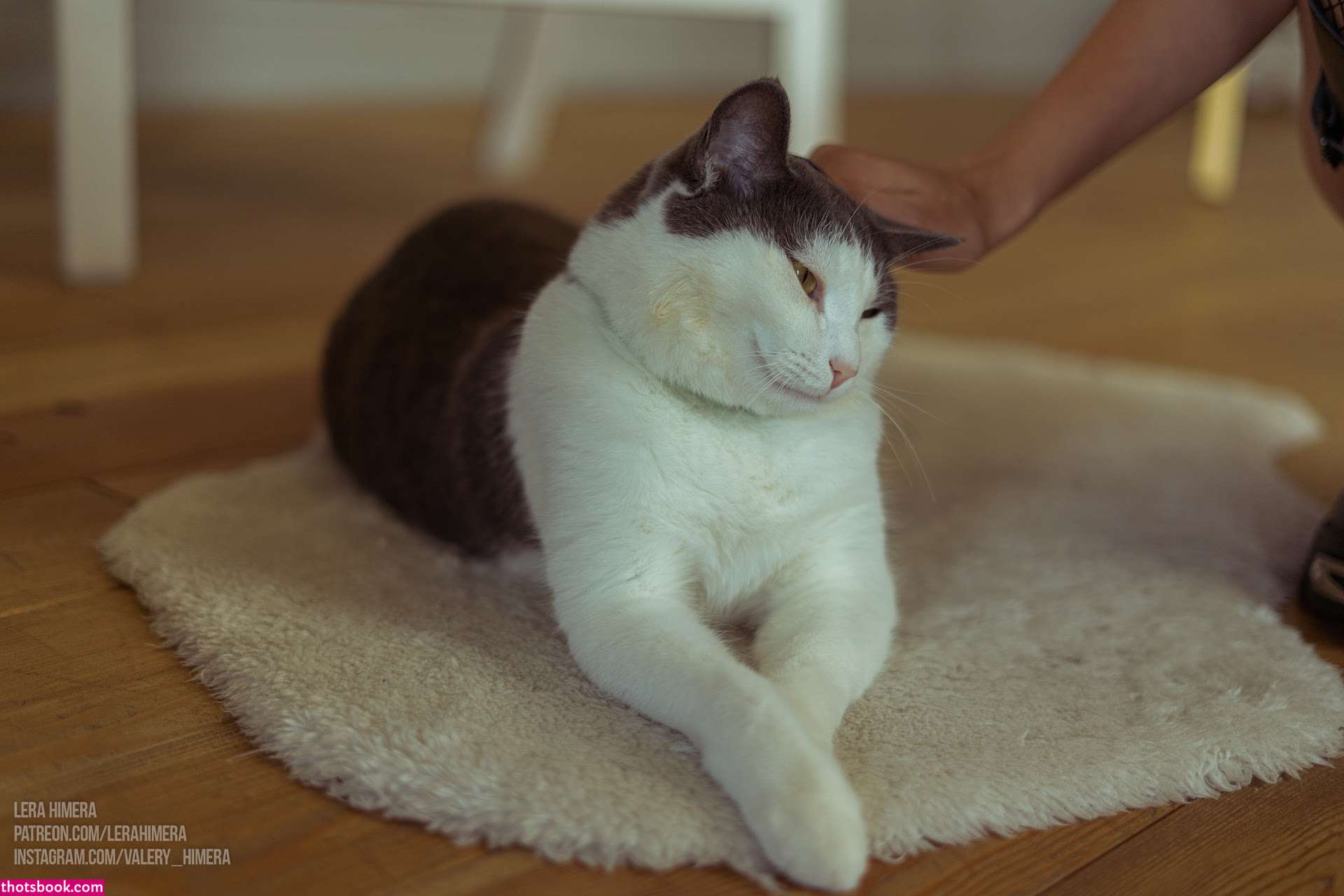 Lera Himera OnlyFans Photos #6 162946