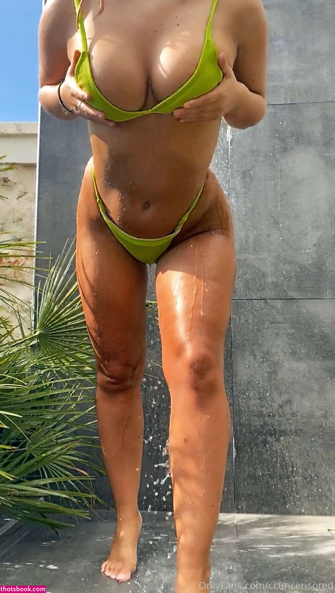 Ccuncensored OnlyFans Photos #2 161340