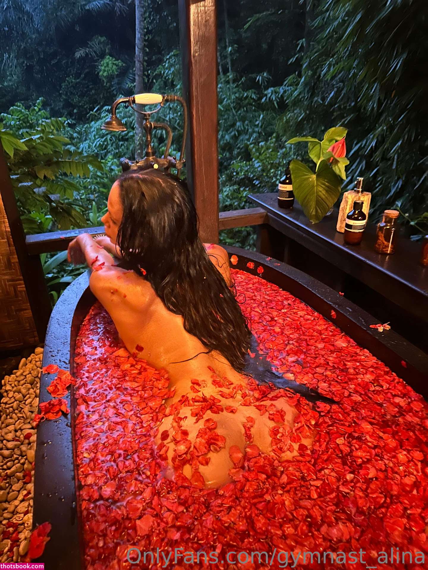 Gymnast Alina OnlyFans Photos #1 163392