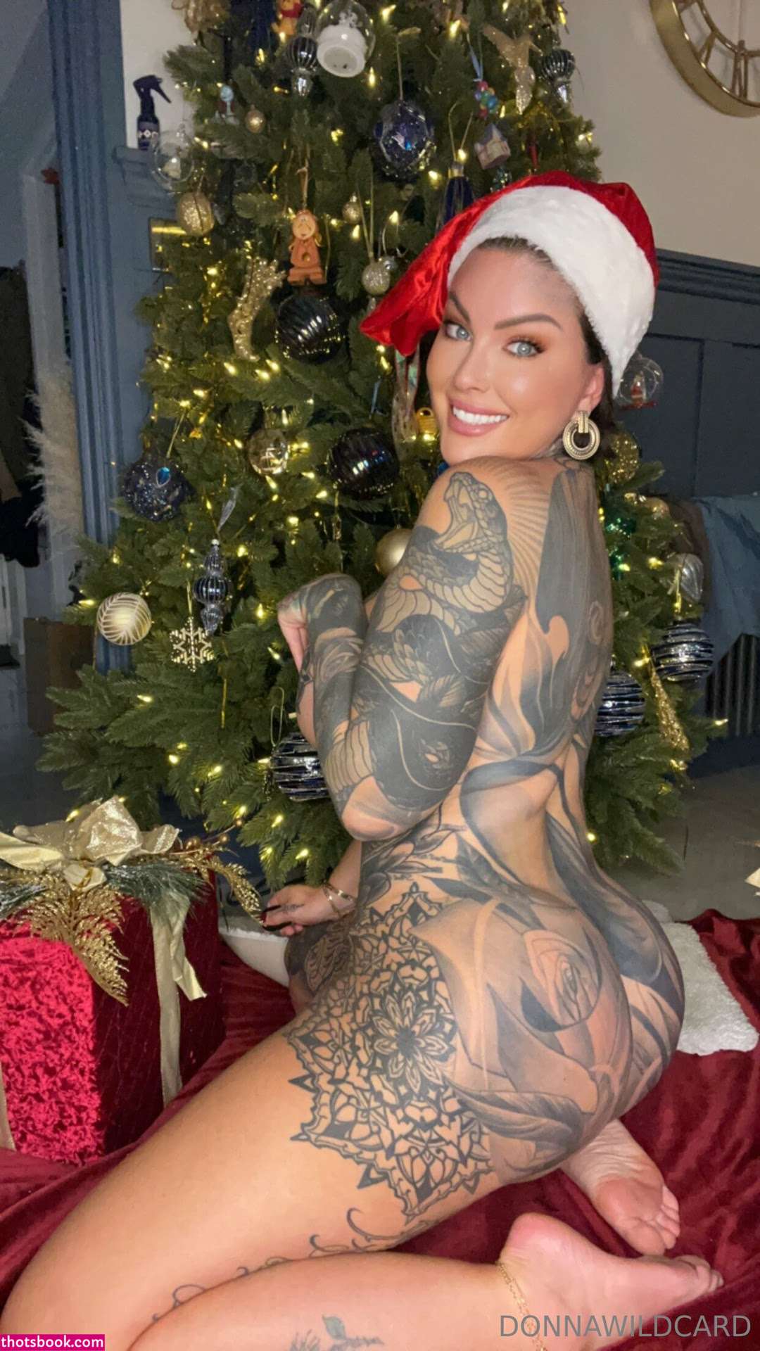 Donna Wildcard Nude OnlyFans Photos #16 669626