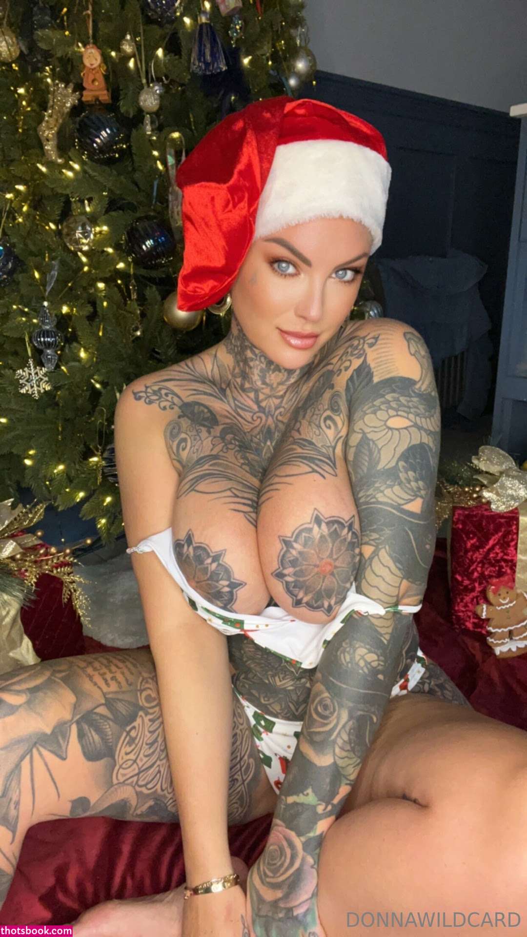 Donna Wildcard Nude OnlyFans Photos #16 669648