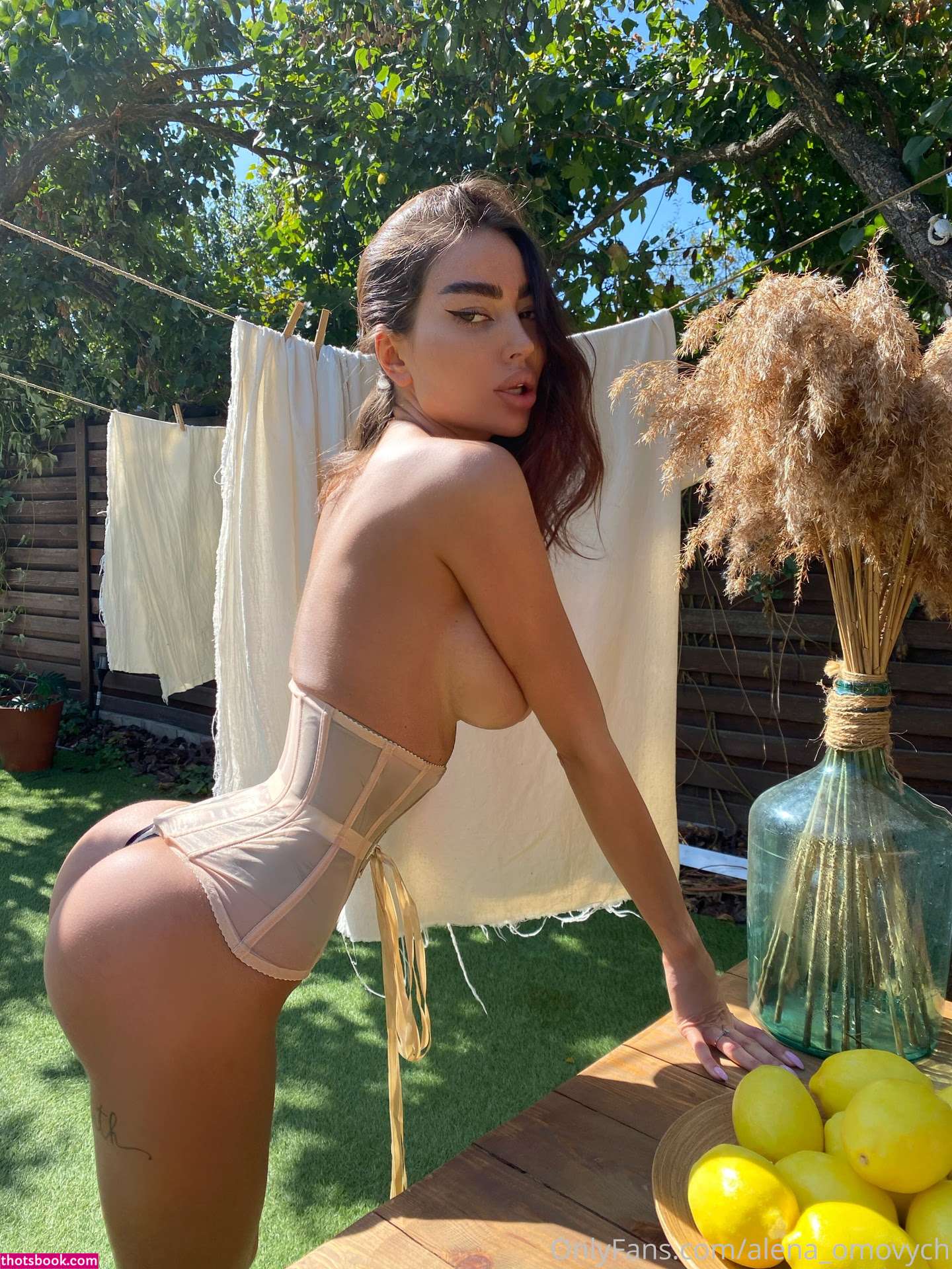 Alena Omovych Nude OnlyFans Photos #10 663945