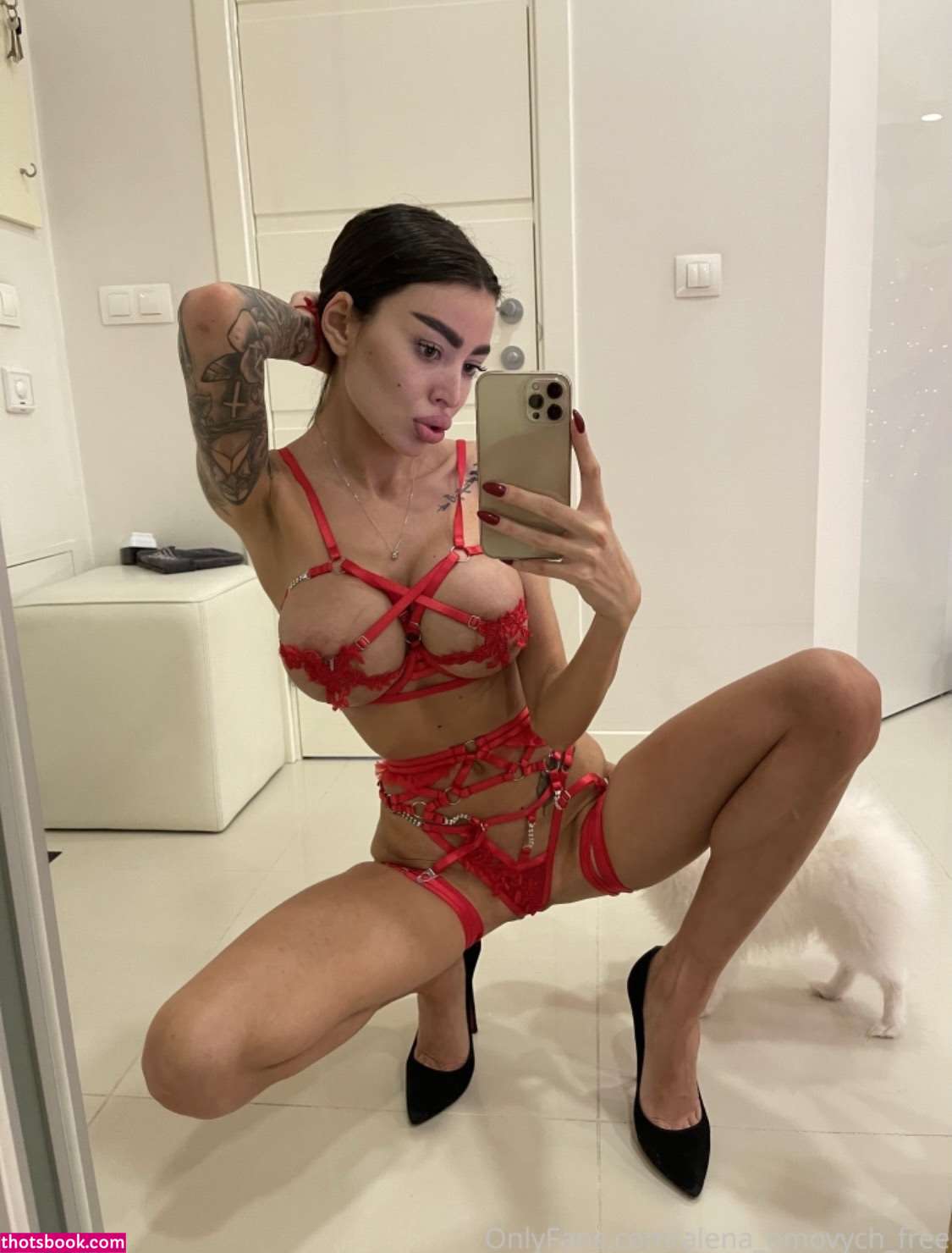 Alena Omovych Nude OnlyFans Photos #12 664031
