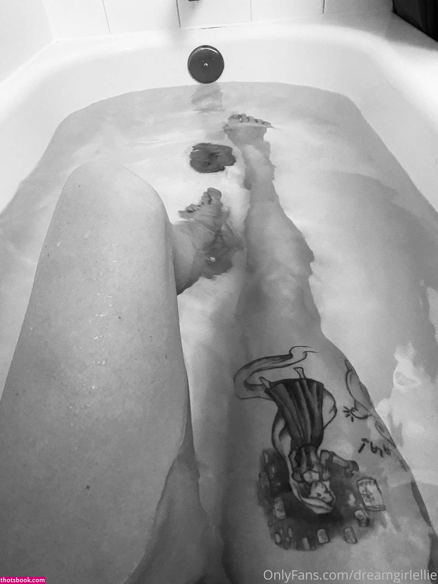 Dream Girl Ellie Nude OnlyFans Photos #12 701930