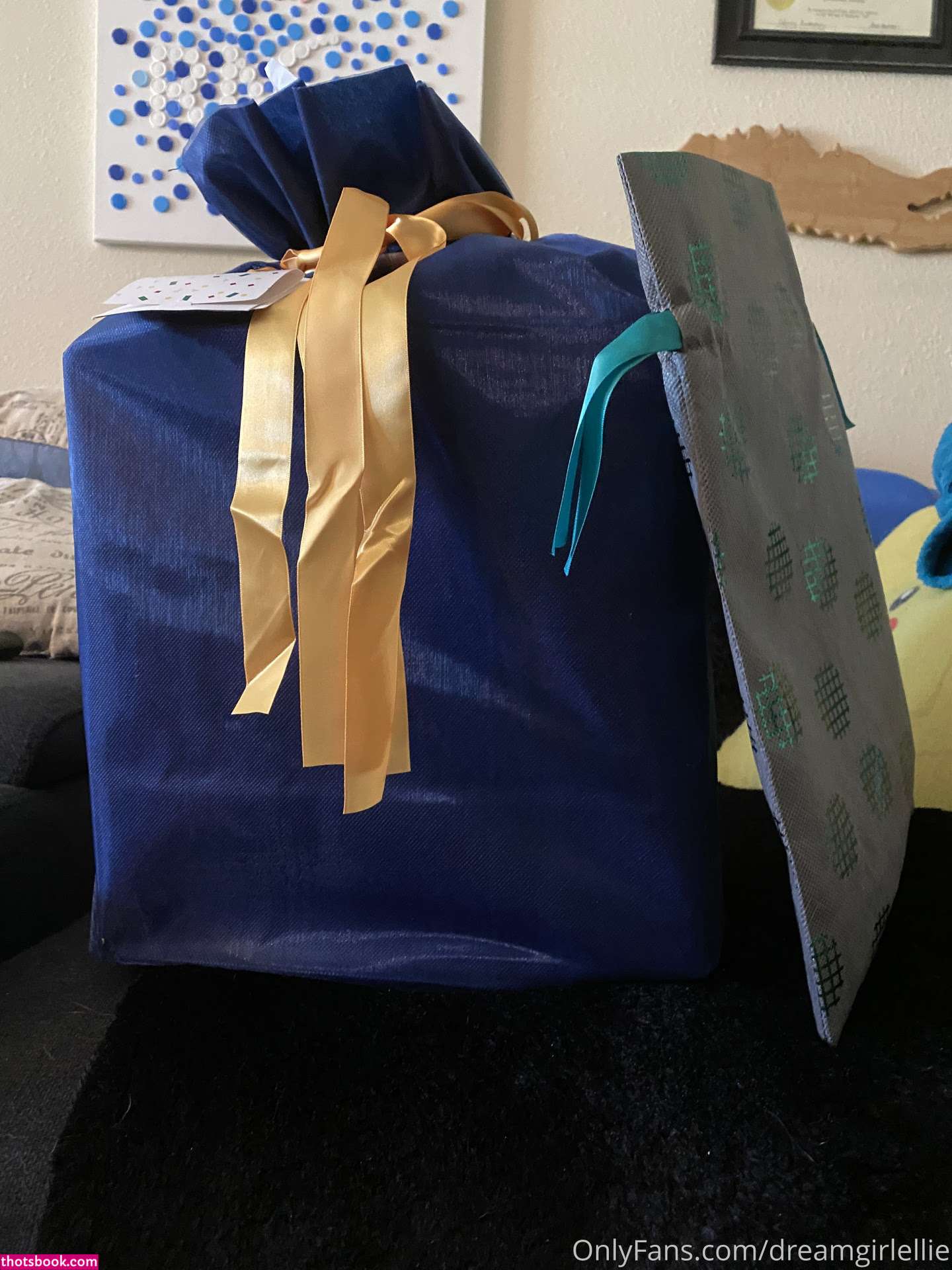 Dream Girl Ellie Nude OnlyFans Photos #13 701947