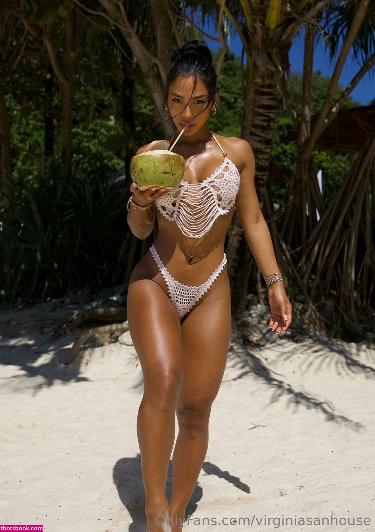 Virginia Sanhouse Nude OnlyFans Photos #11 715379