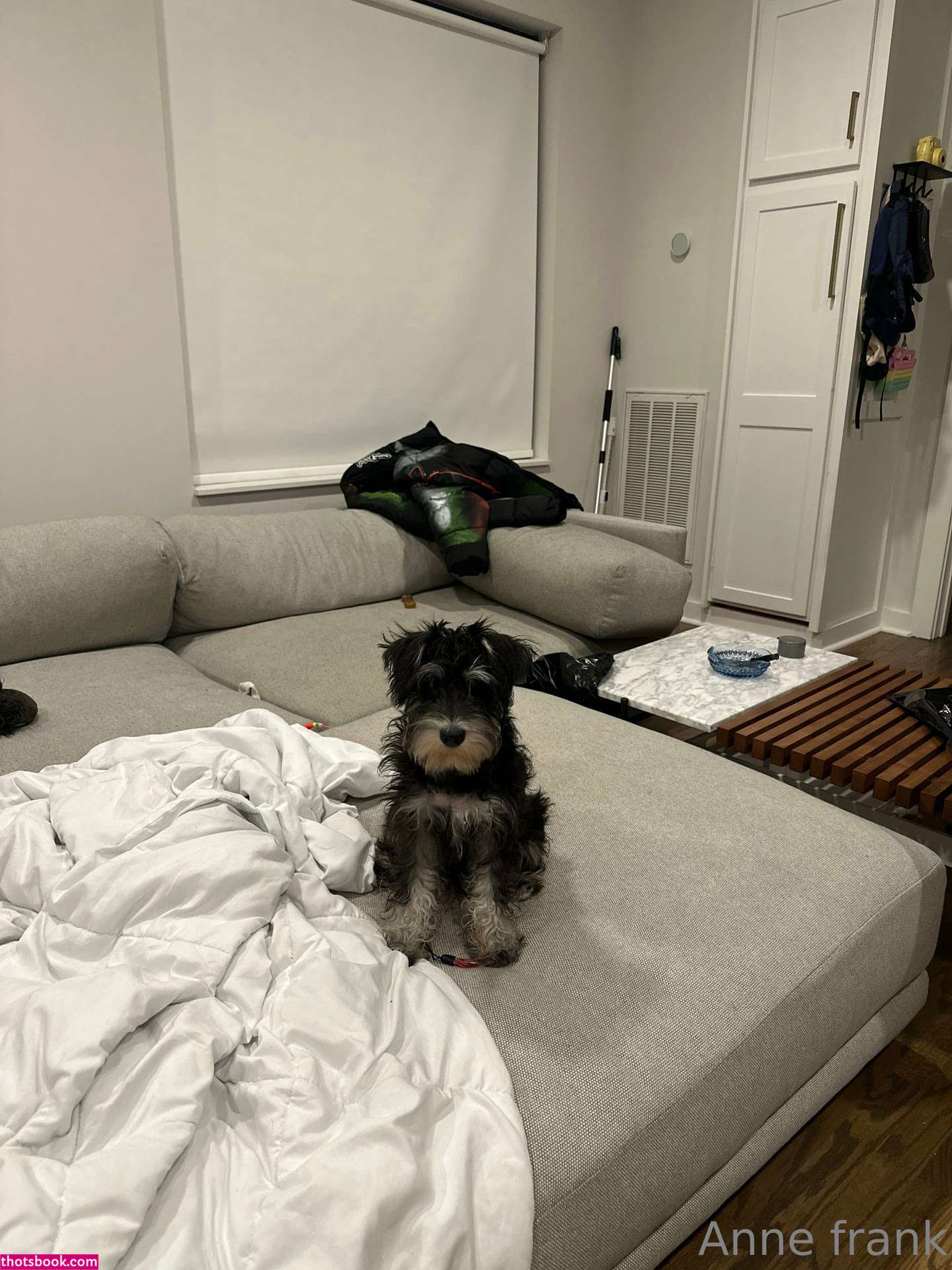 Anne Frank lilann3frank sluttylilsister Nude OnlyFans Photos #3 715546