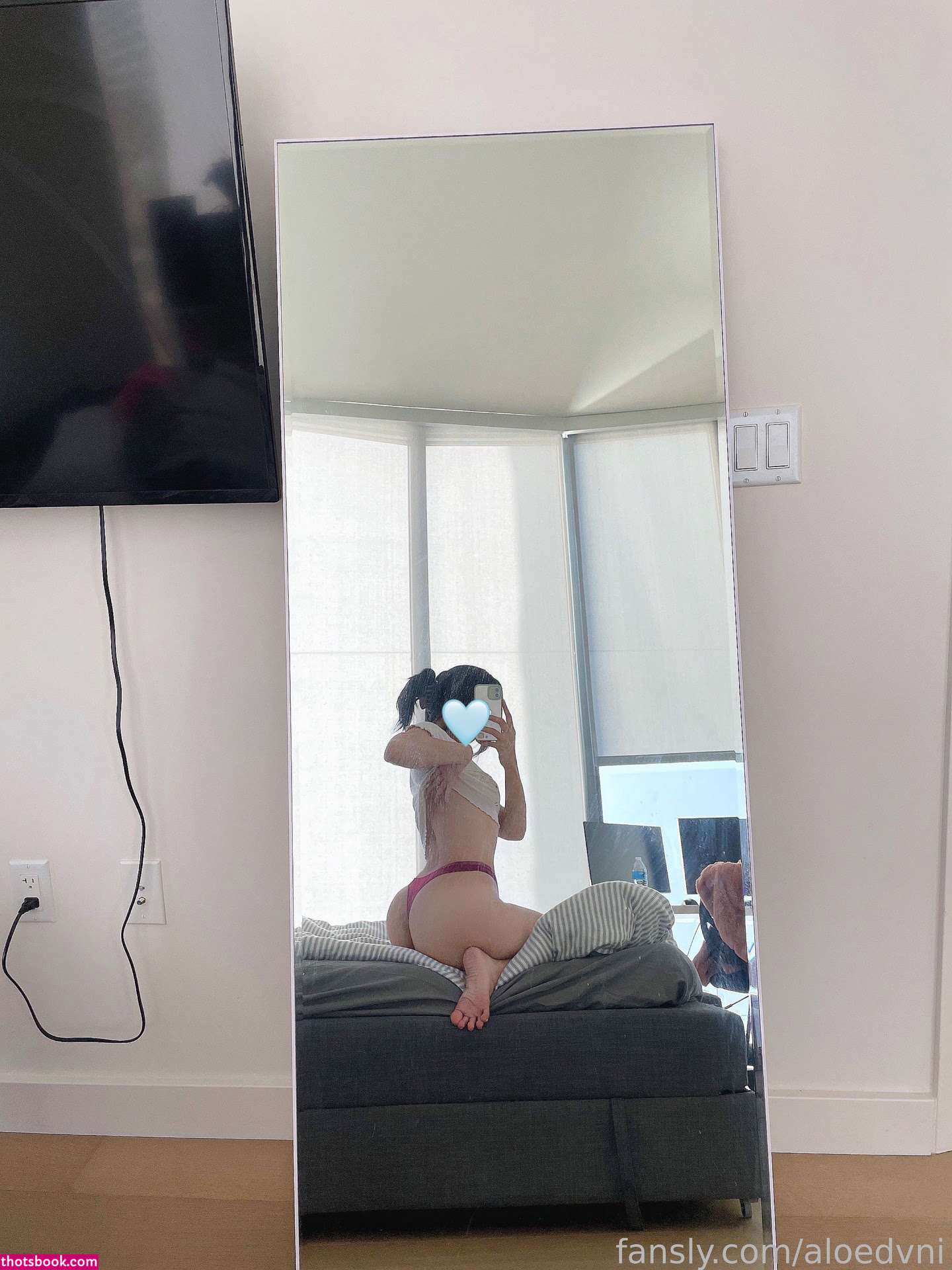 Plushydani plushs aloedvni Nude OnlyFans Photos #6 668805