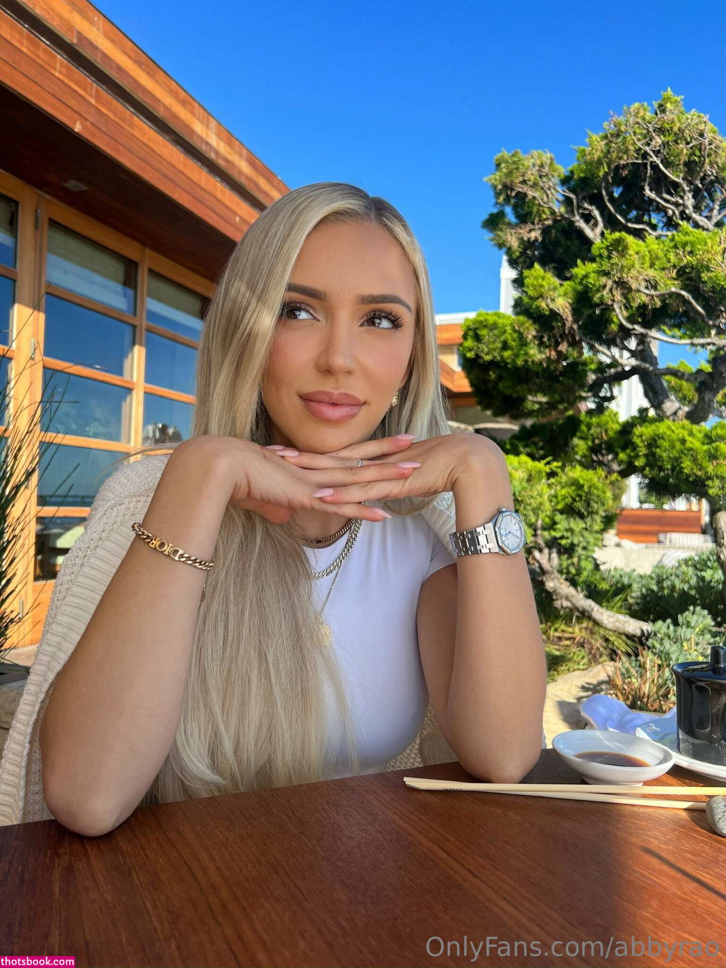 Abby Rao Nude OnlyFans Photos #15 688791