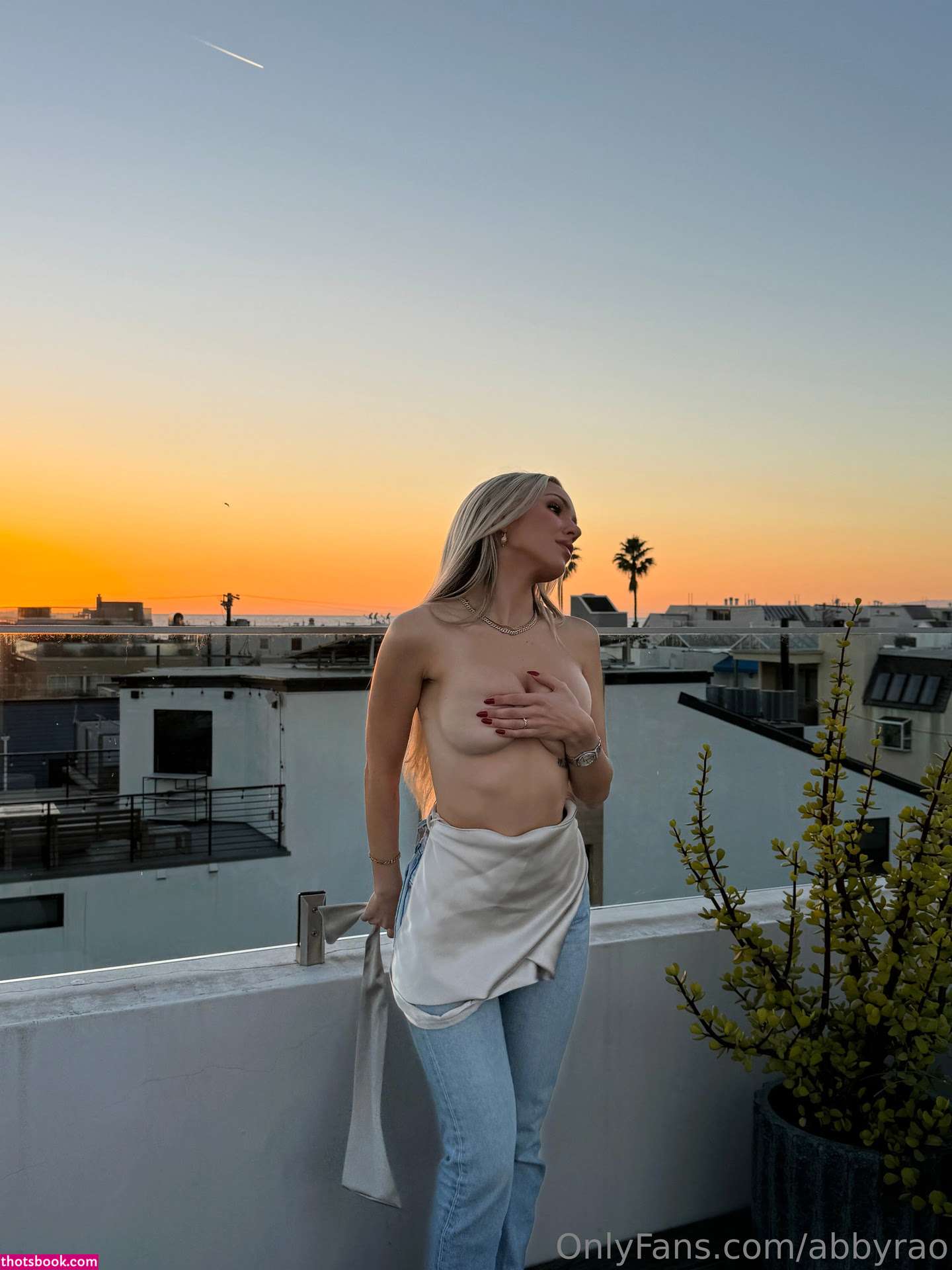 Abby Rao Nude OnlyFans Photos #18 688833