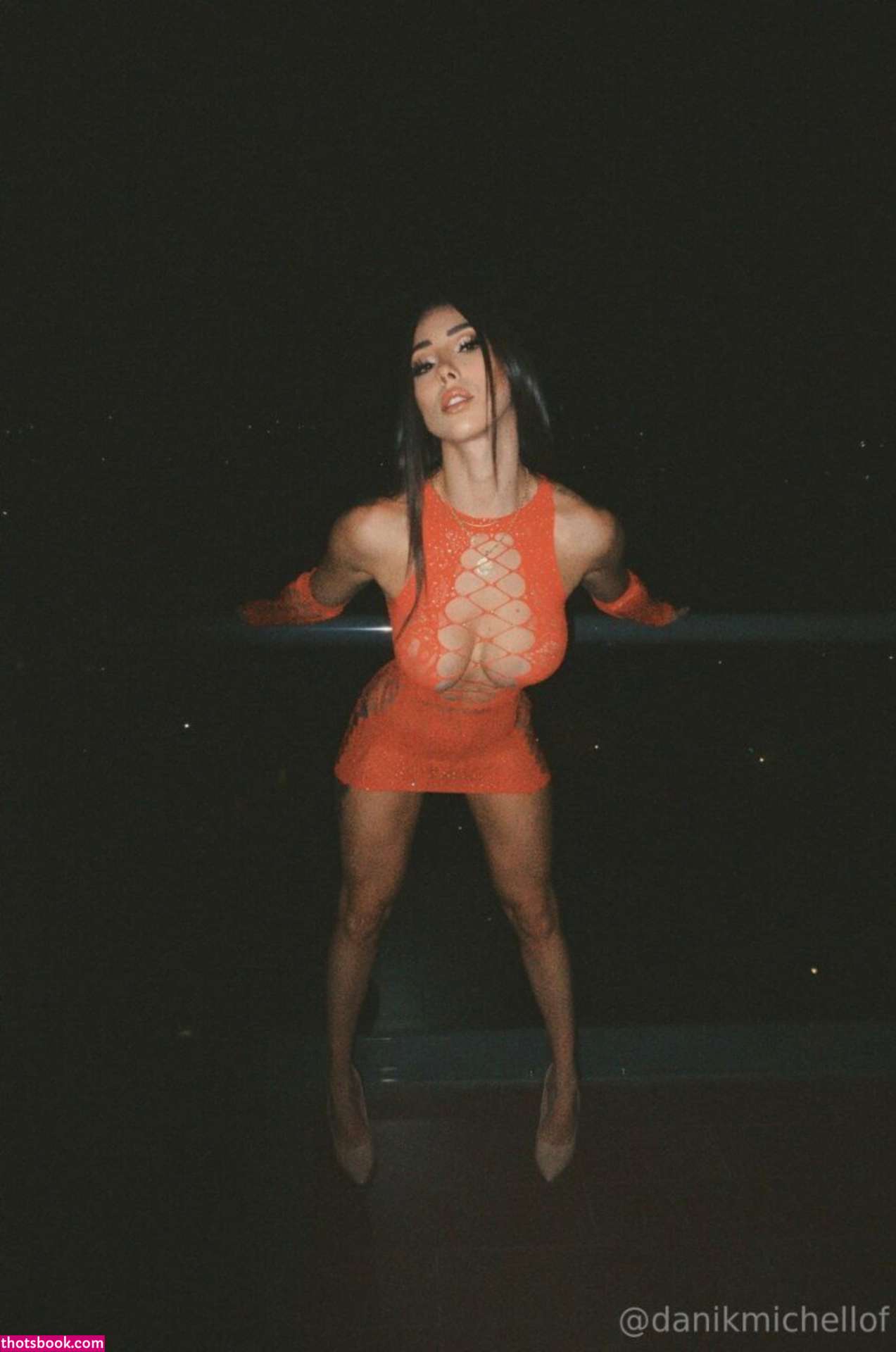 danikmichell Nude OnlyFans Photos #9 695898