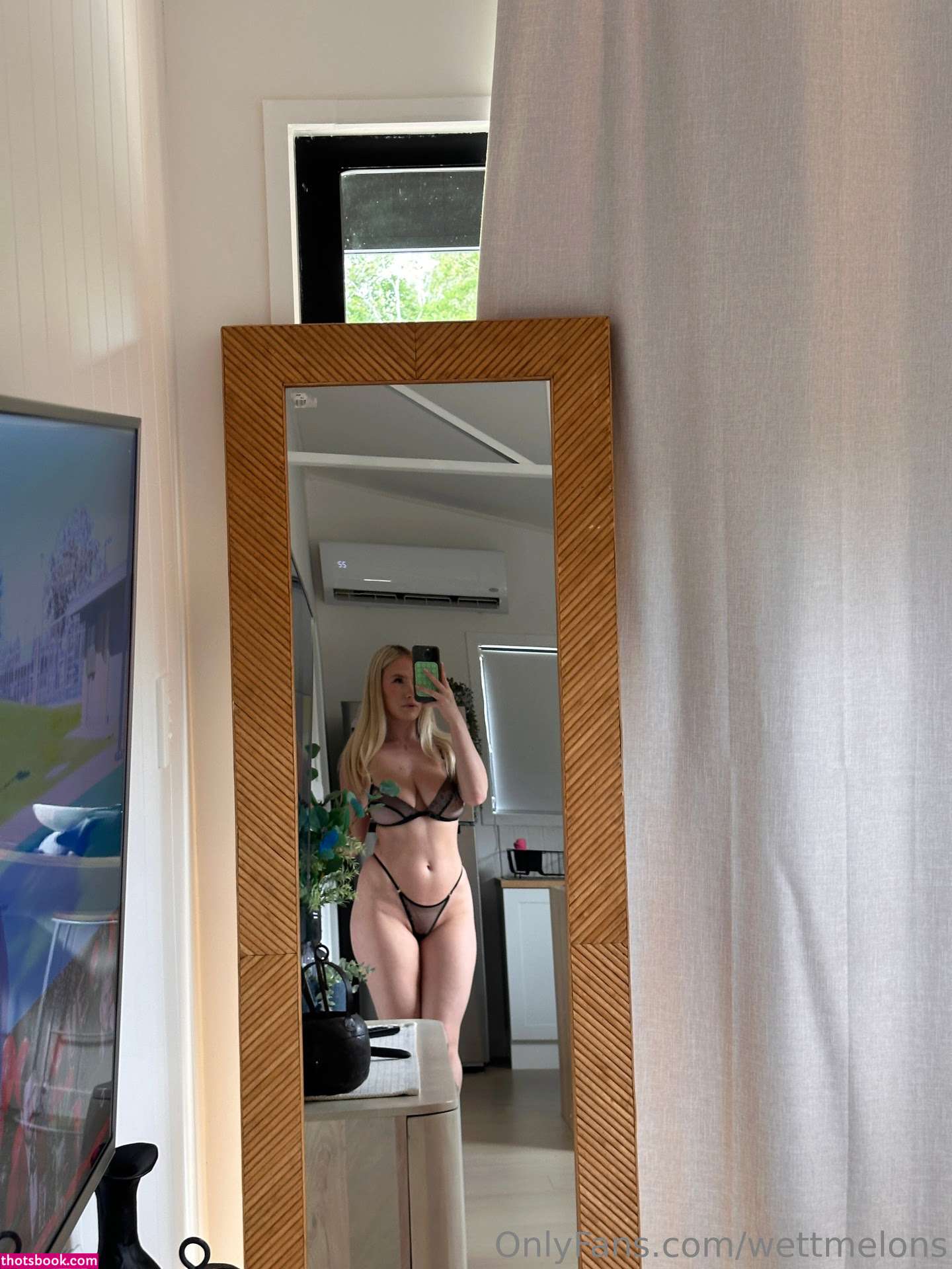 WettMelons Nude OnlyFans Photos #69 655145