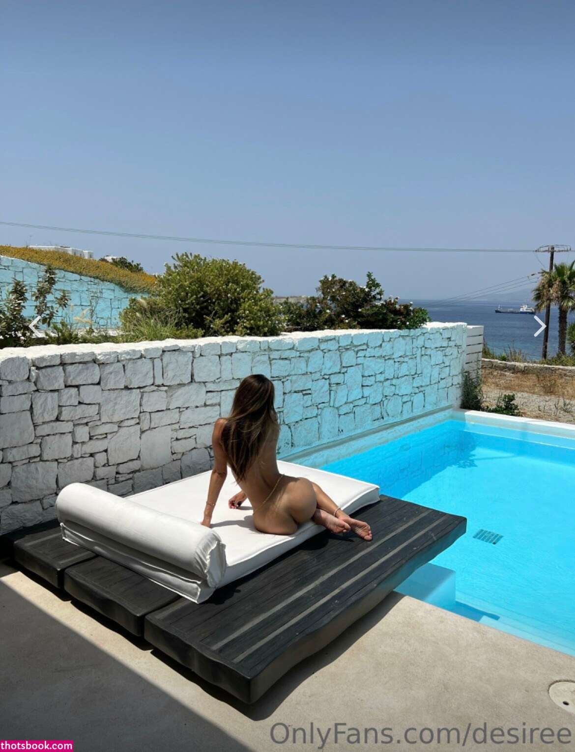 Desiree Schlotz Nude OnlyFans Photos #5 693406