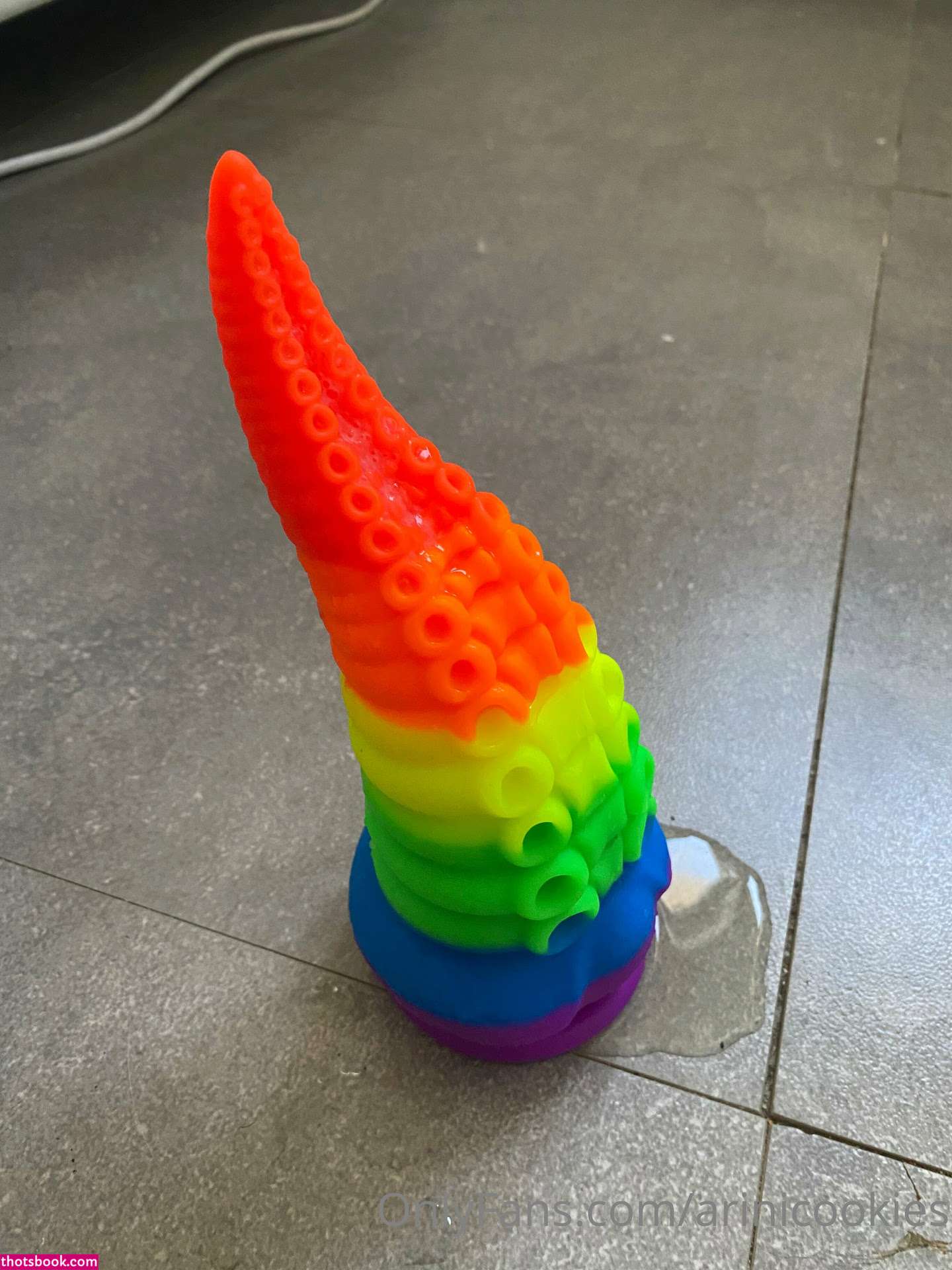 Arinicookies Arina Kortchov Nude OnlyFans Photos #15 723903