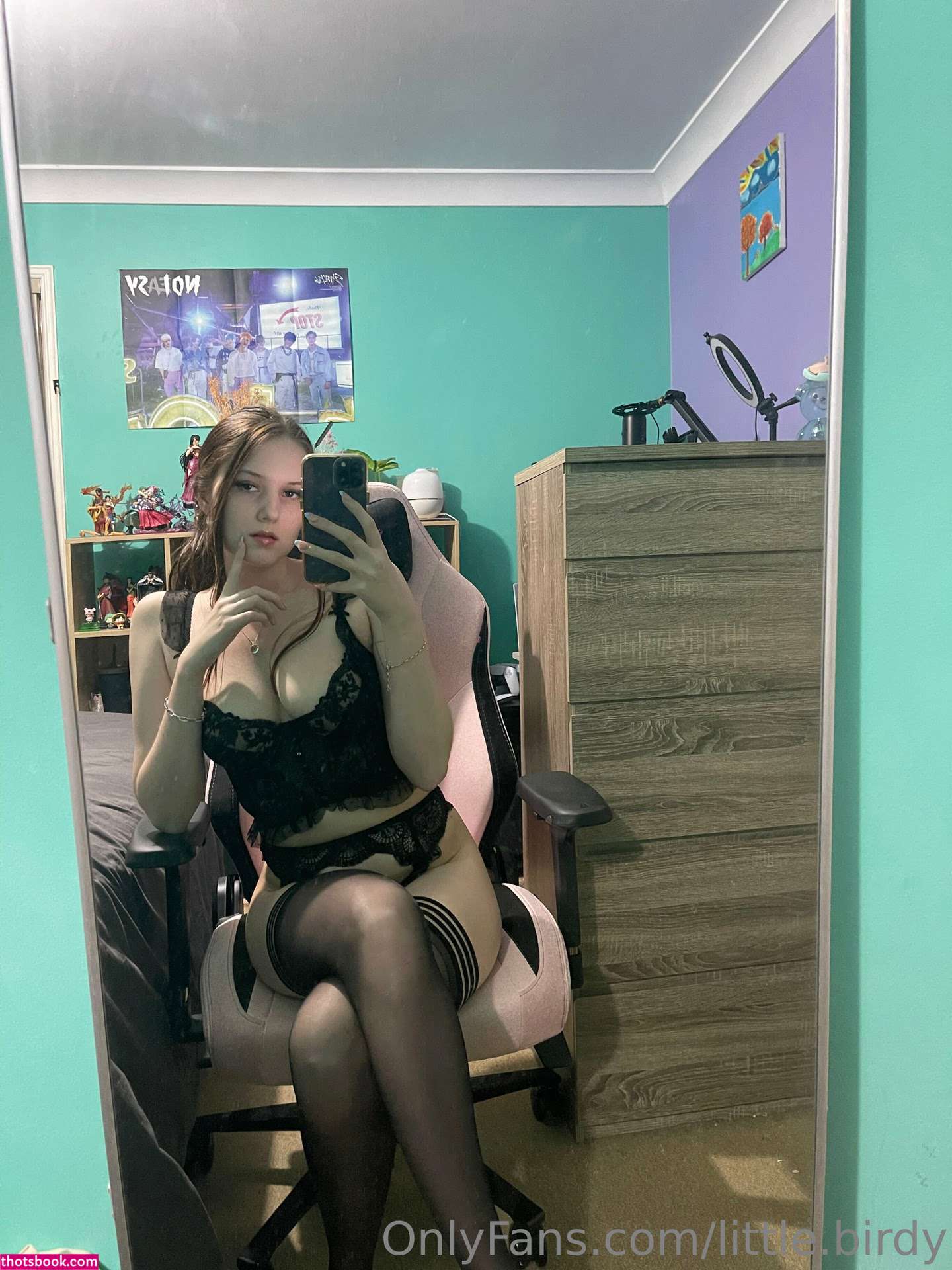 littlebirdyasmr littlebirdy28 Nude Leaks OnlyFans Photos #3 1524709