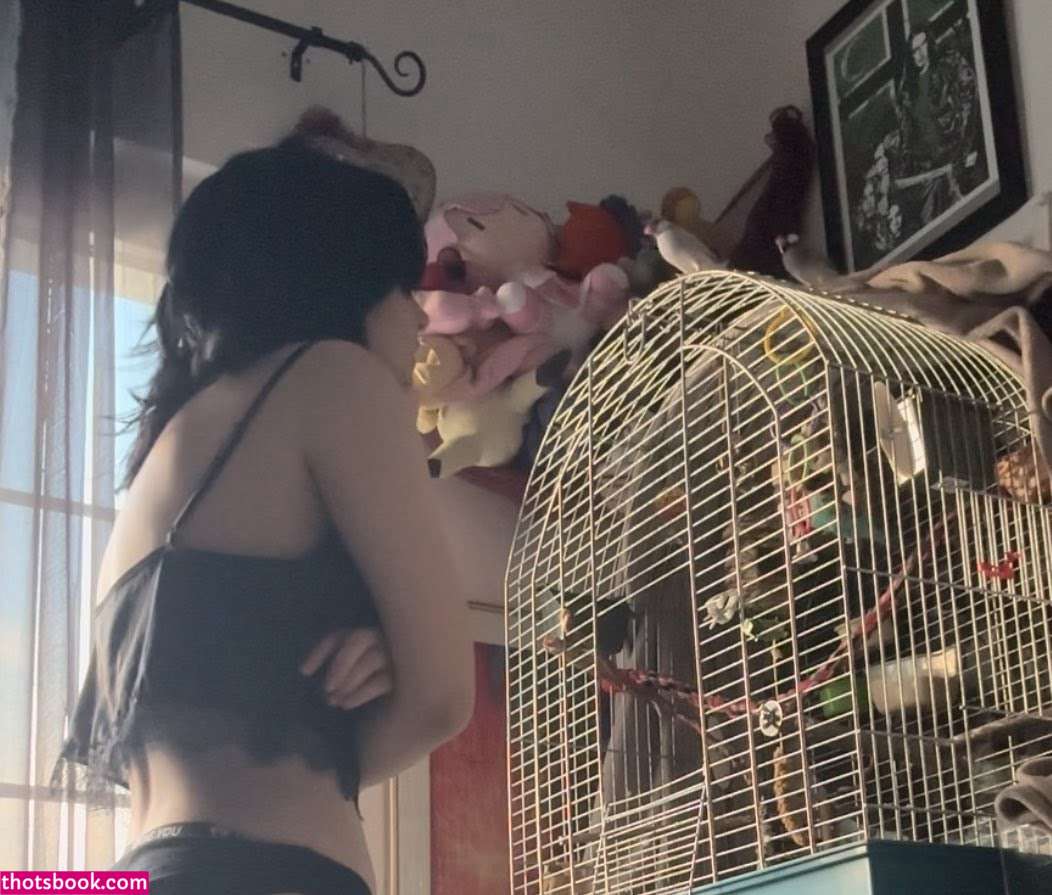 Vampyrisu Kachirisu Tori Nude Leaks OnlyFans Photos #3 1540326