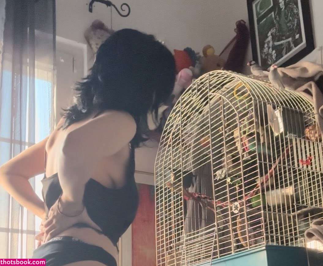 Vampyrisu Kachirisu Tori Nude Leaks OnlyFans Photos #3 1540327