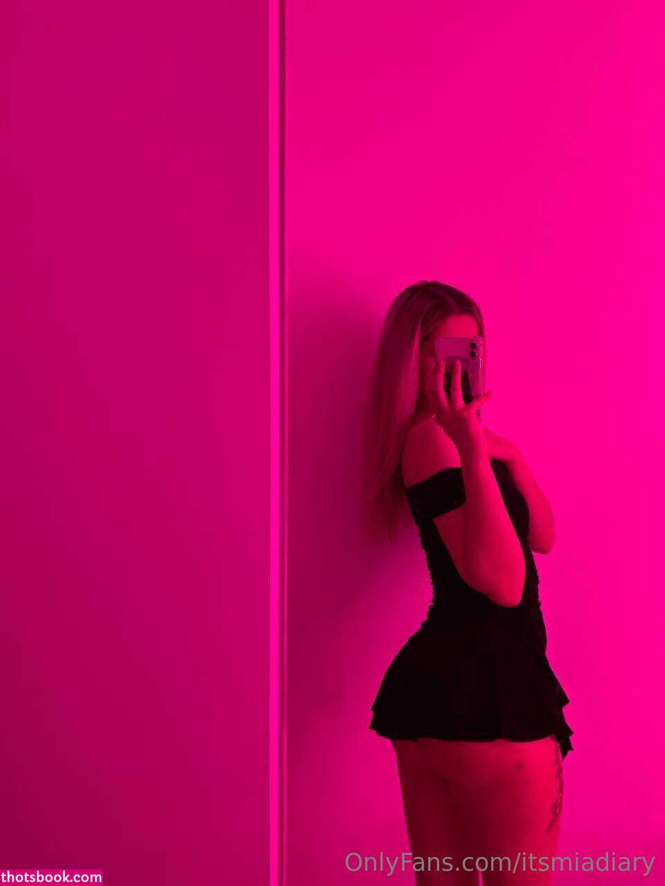 sanzii01 thewholemia itsmiadiary Nude Leaks OnlyFans Photos #4 1541797