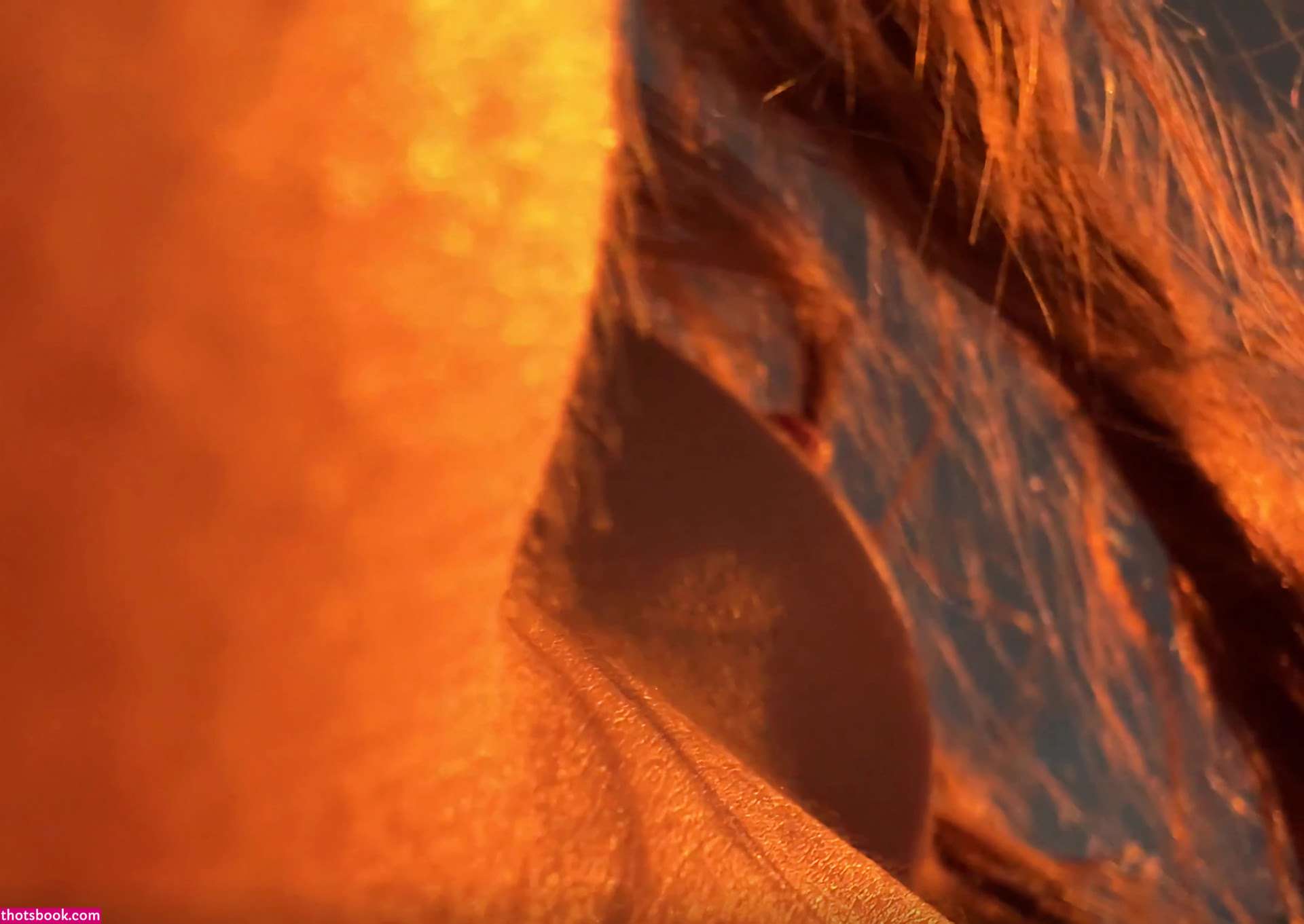 Stefania Deriabina Nude Leaks OnlyFans Photos #2 1535851