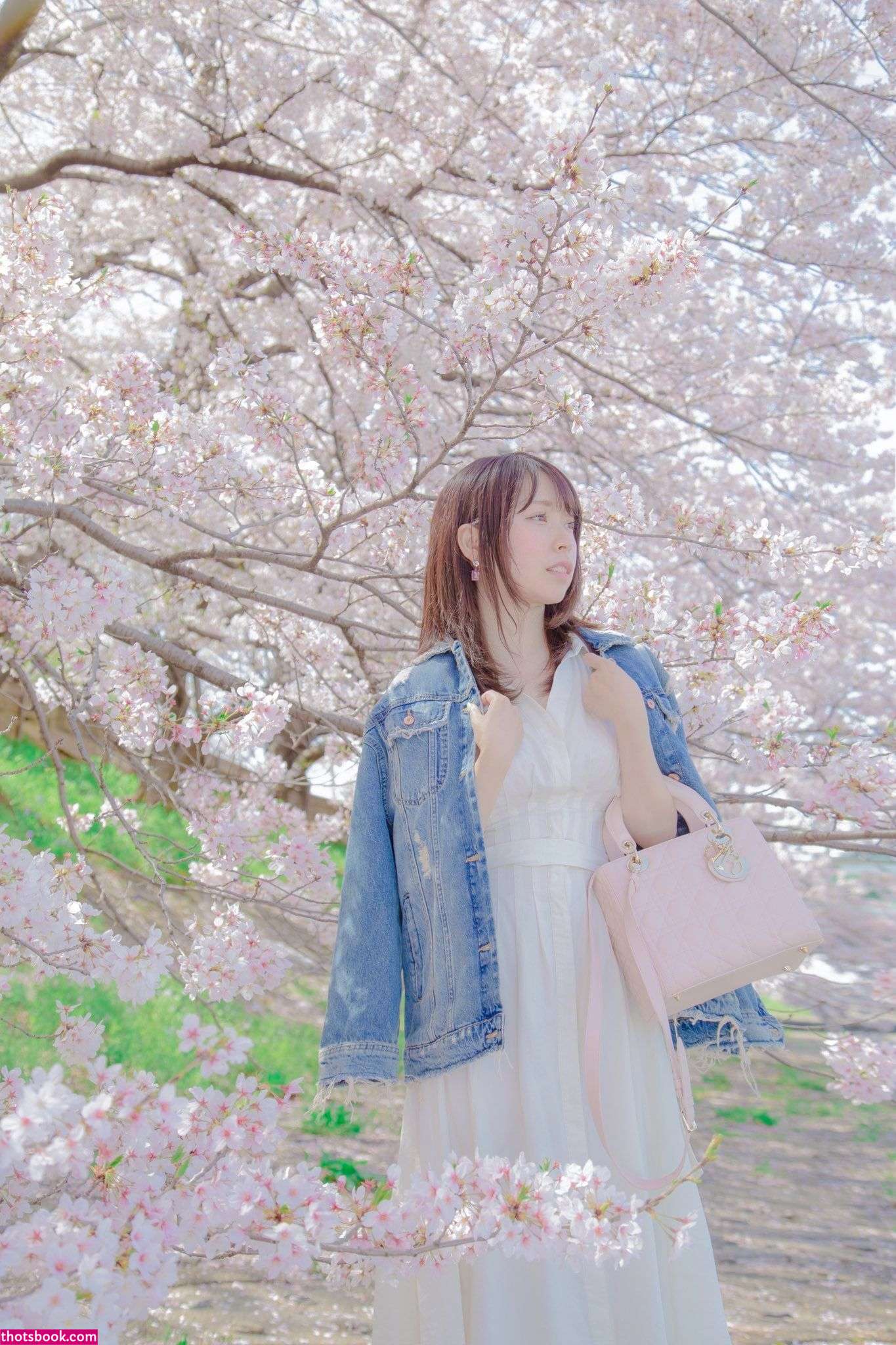 ShiinaKira shiinakirachan Nude Leaks OnlyFans Photos #3 1516350