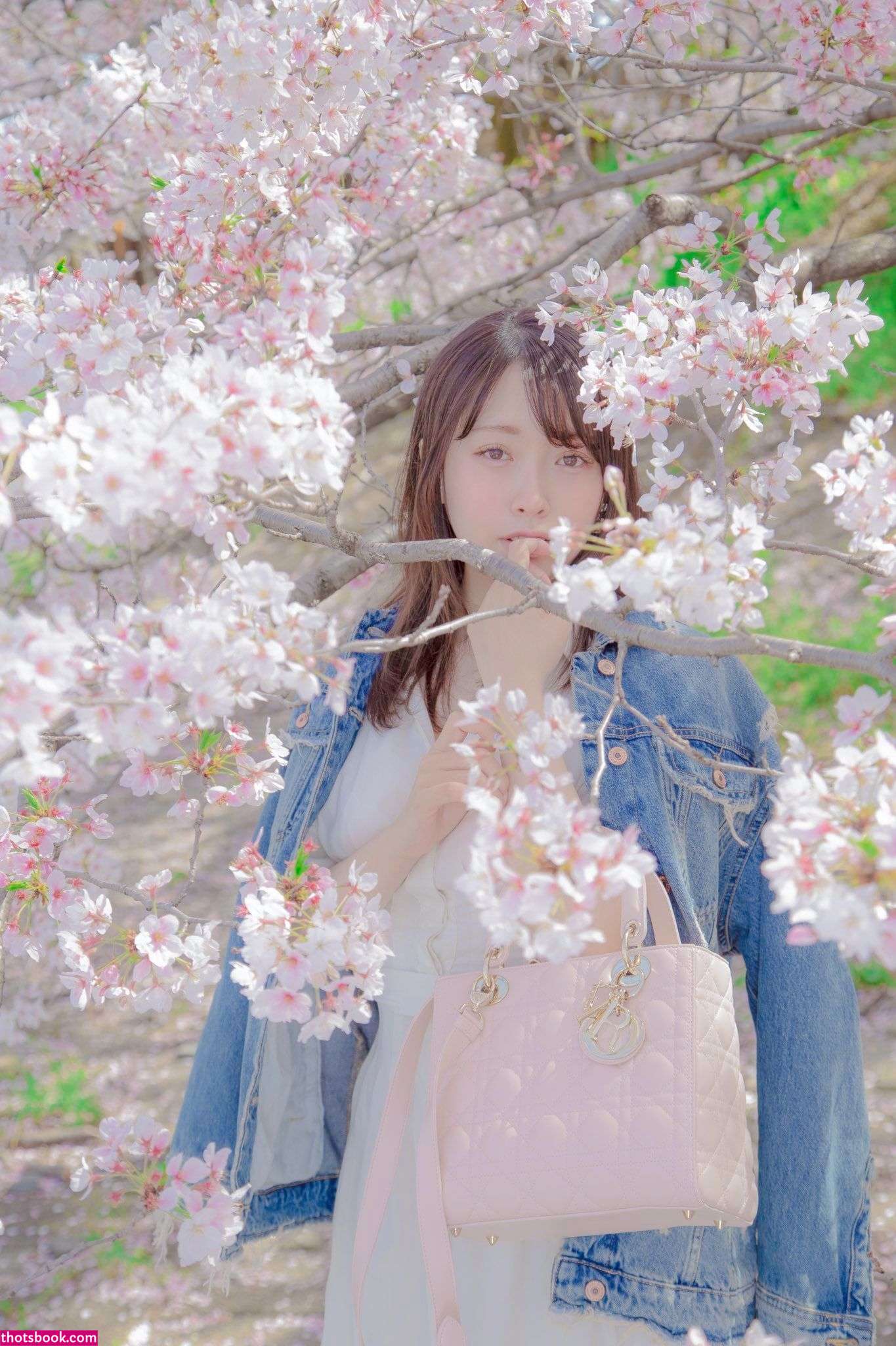 ShiinaKira shiinakirachan Nude Leaks OnlyFans Photos #4 1516358