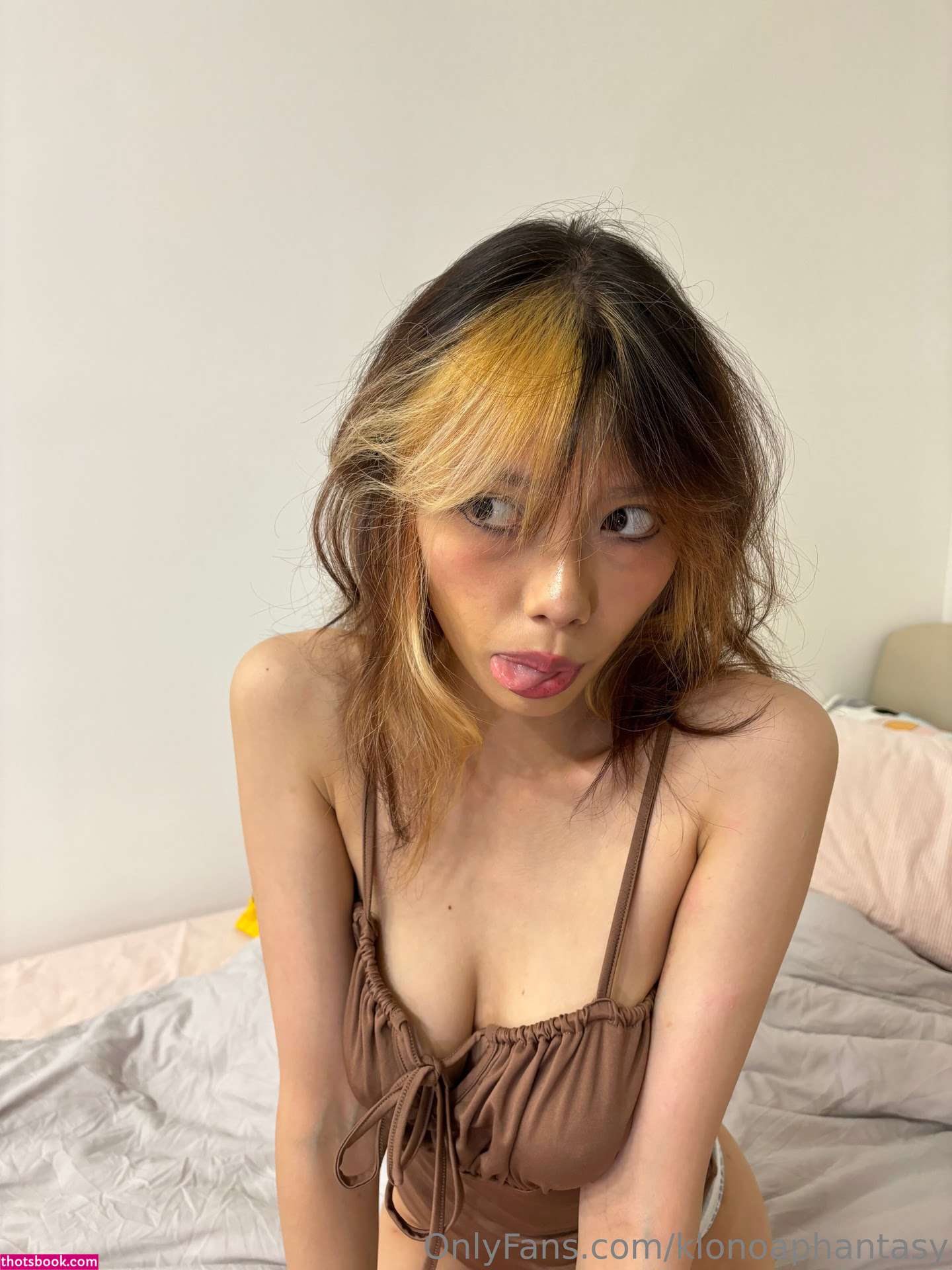 klonoaphantasy Nude Leaks OnlyFans Photos #5 1572794