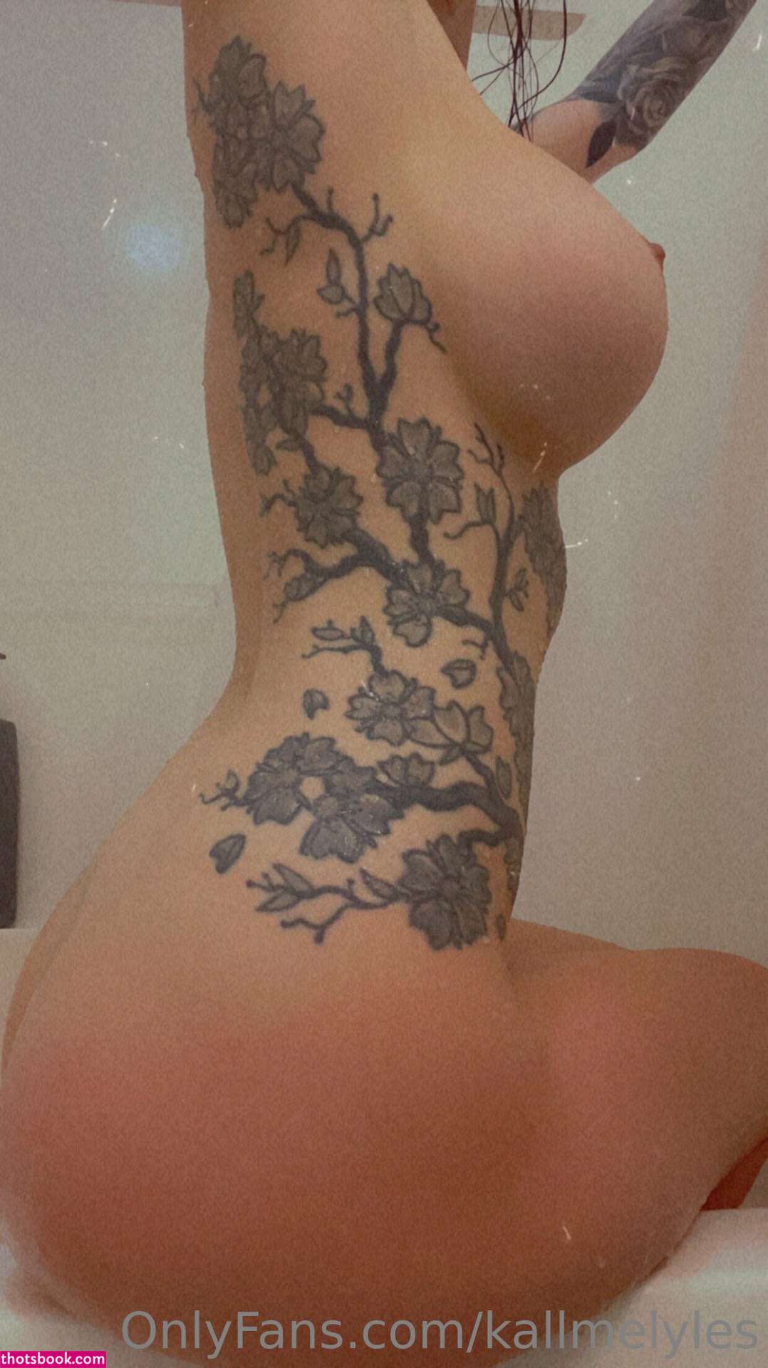 Kallmelyles Gabrielle Lyles Nude Leaks OnlyFans Photos #4 1517794