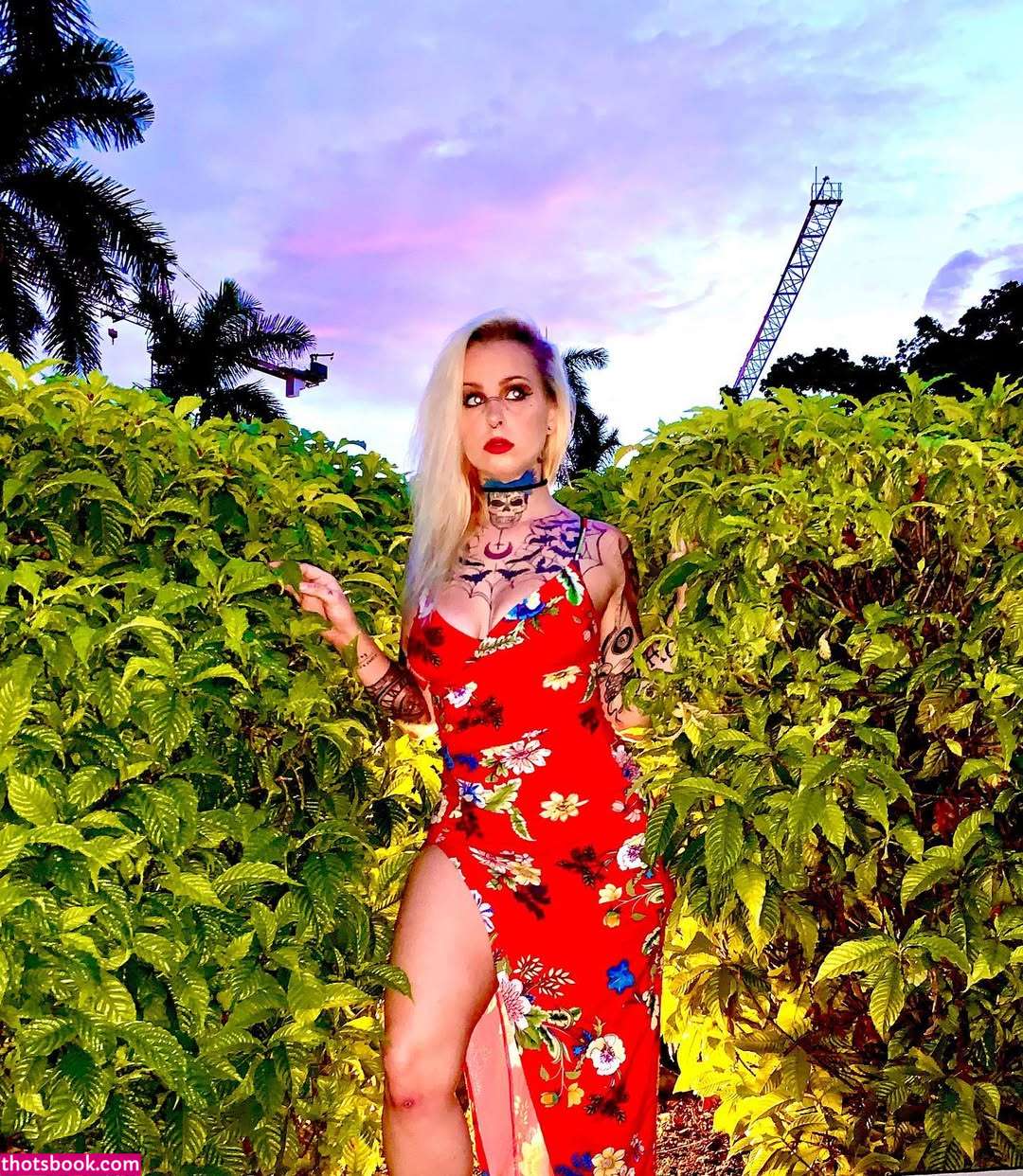 Kittydagoat Kitty da goat Katt kingg Nude Leaks OnlyFans Photos #2 1547212