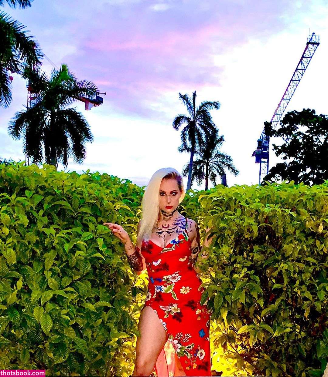 Kittydagoat Kitty da goat Katt kingg Nude Leaks OnlyFans Photos #2 1547214