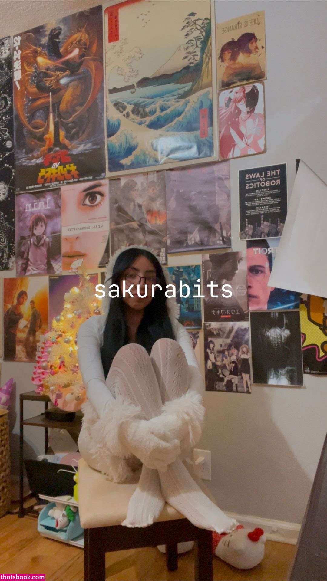 Sakurabits Sanriosanx exe Nude Leaks OnlyFans Photos #4 1548004