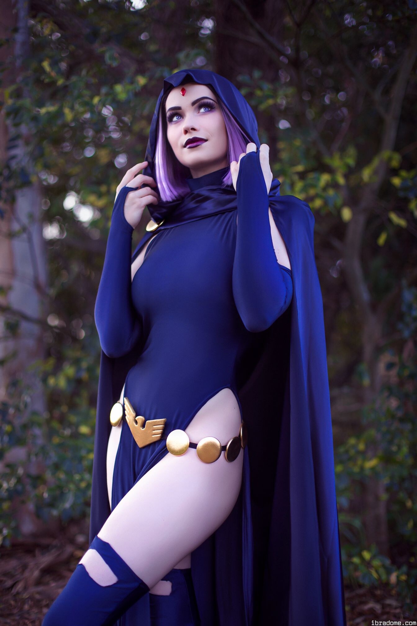 Nichameleon Raven 53940