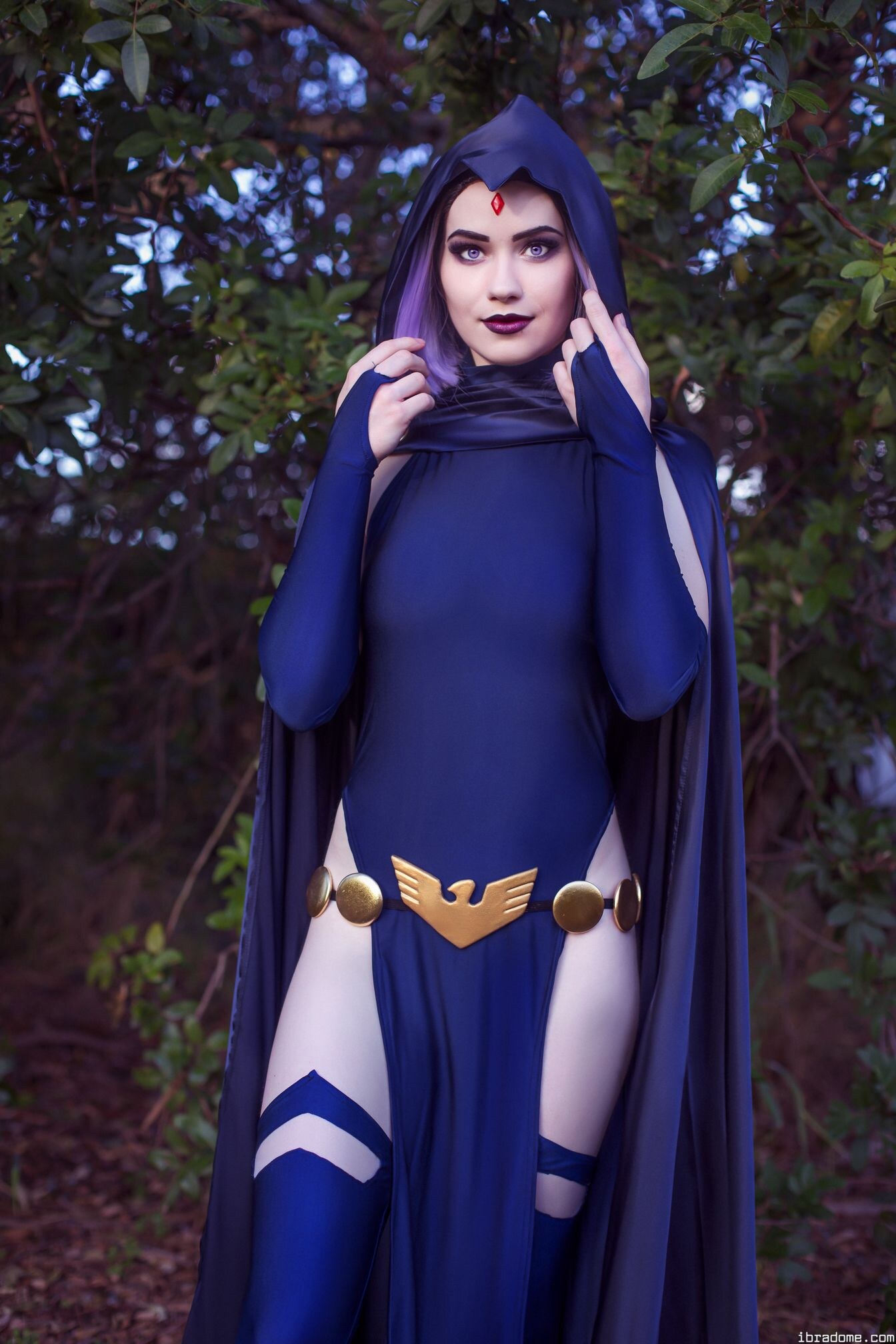 Nichameleon Raven 53942