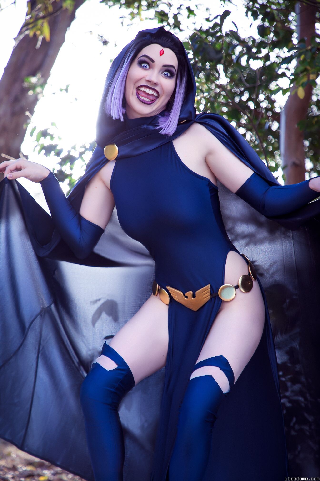 Nichameleon Raven 53943