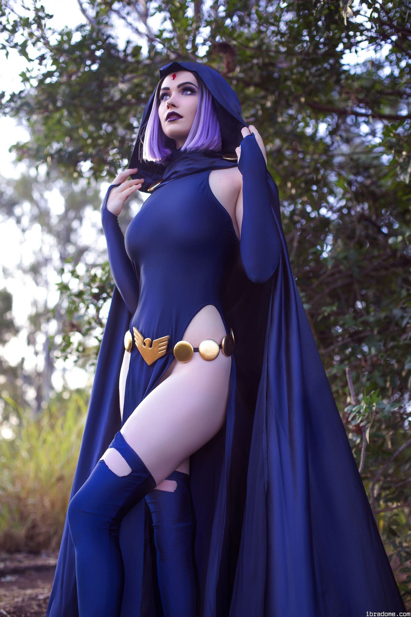 Nichameleon Raven 53947