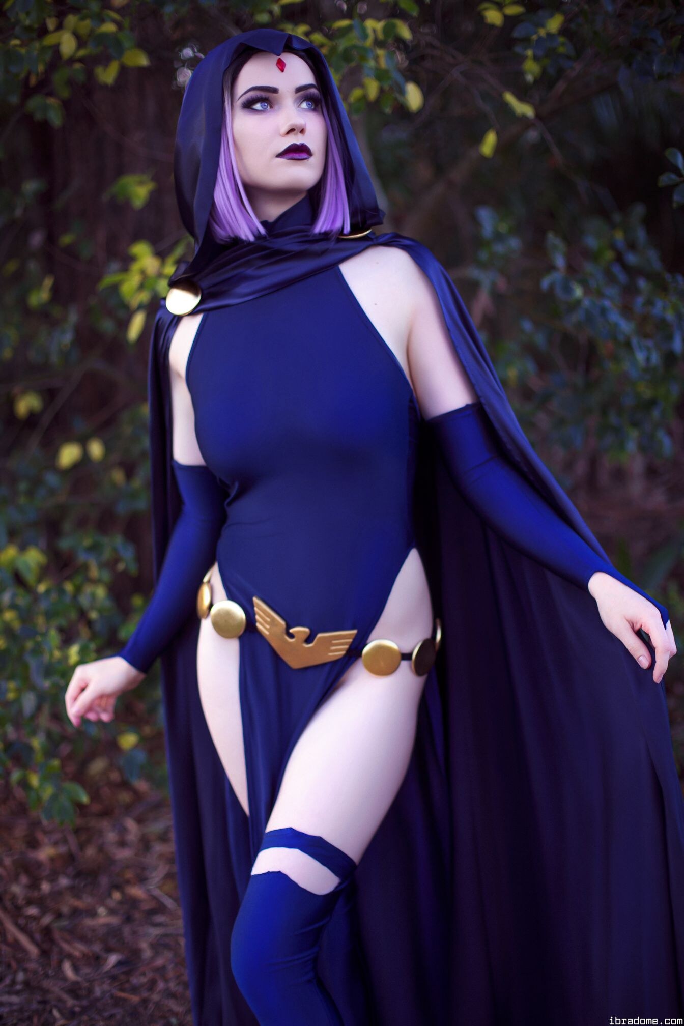 Nichameleon Raven 53950