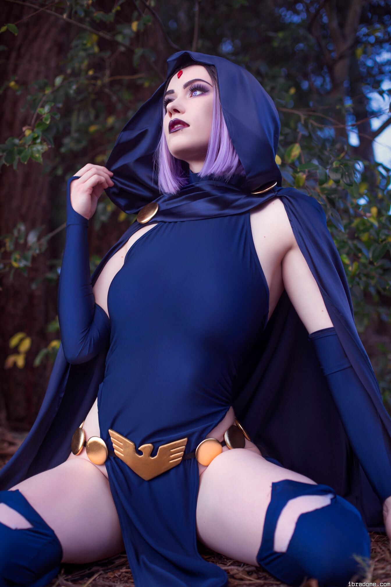 Nichameleon Raven 53951