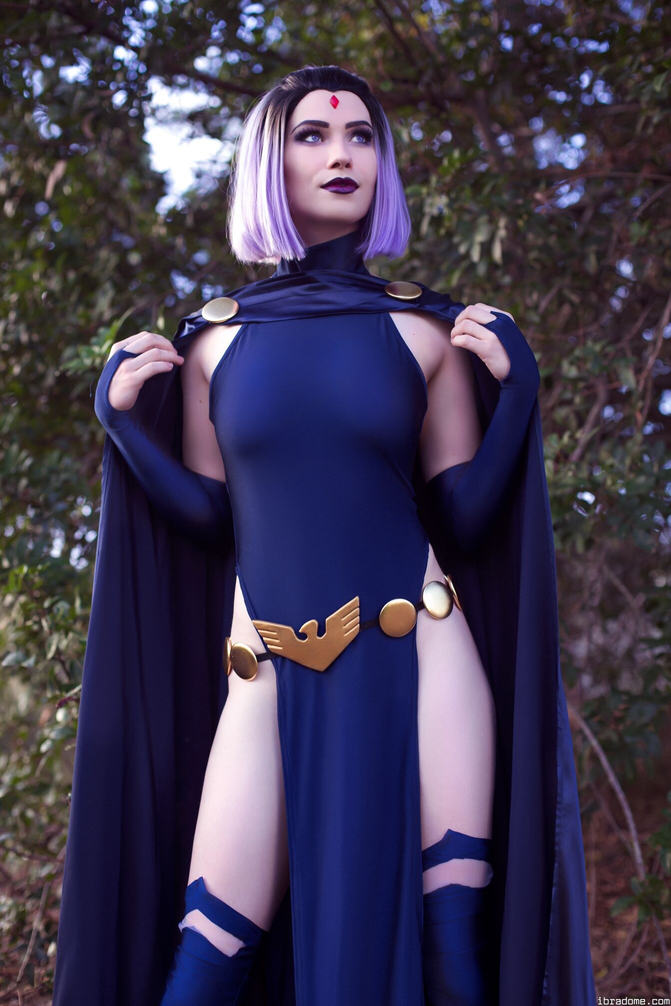 Nichameleon Raven 53955