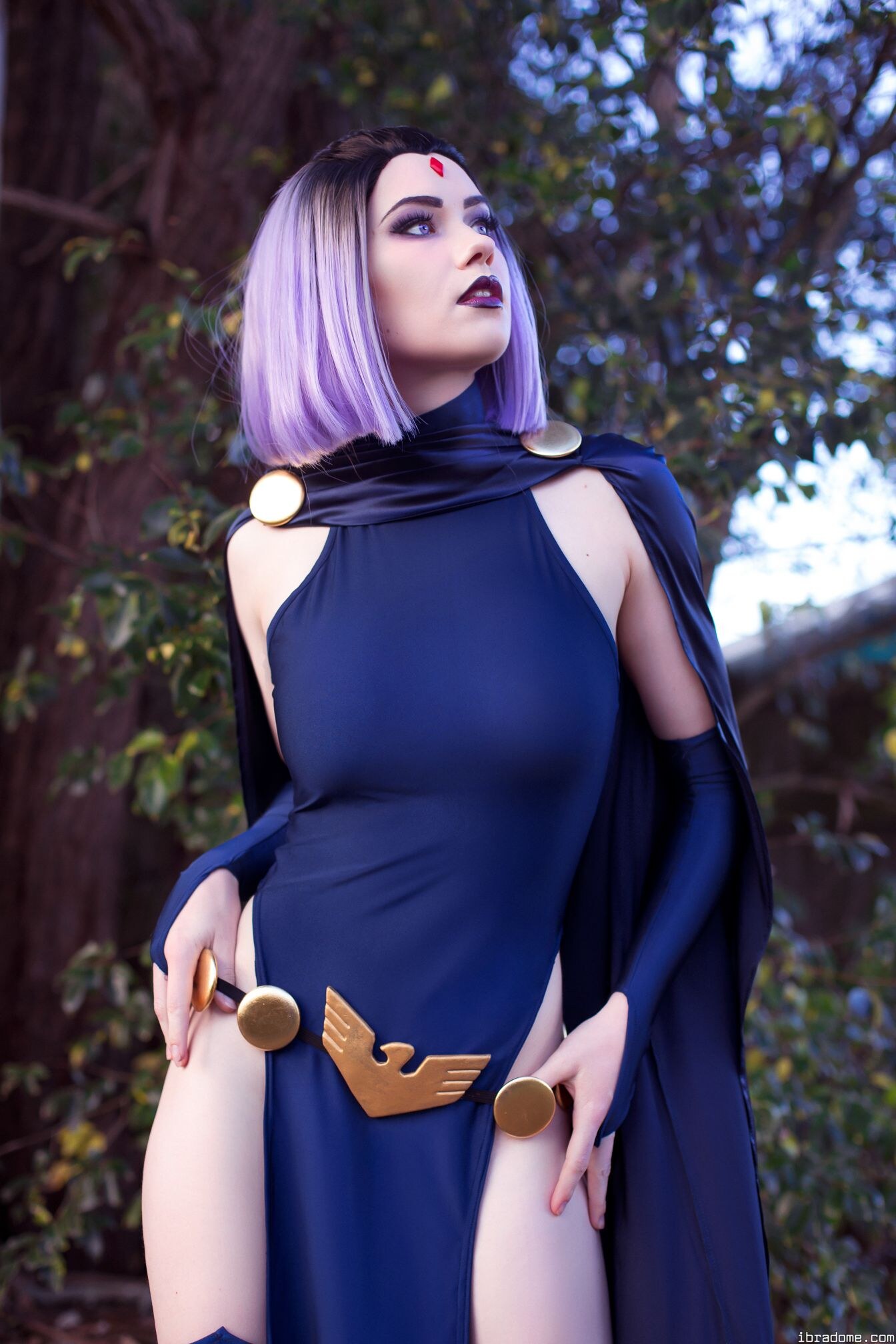 Nichameleon Raven 53956