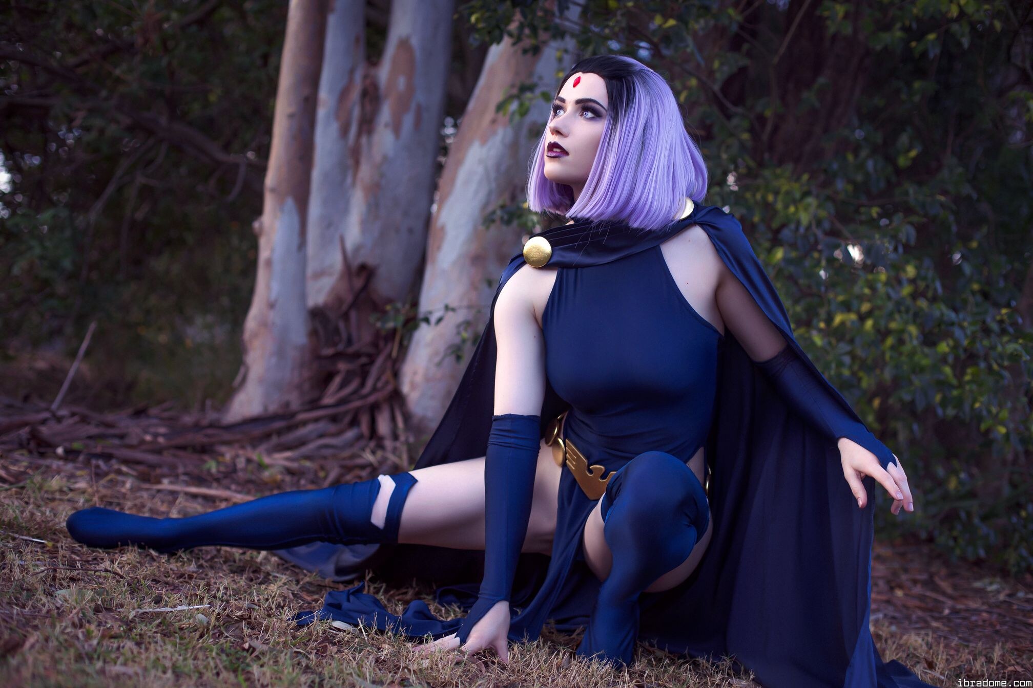 Nichameleon Raven 53959