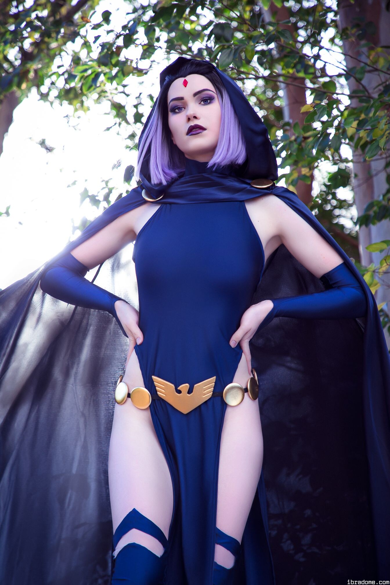 Nichameleon Raven 53963