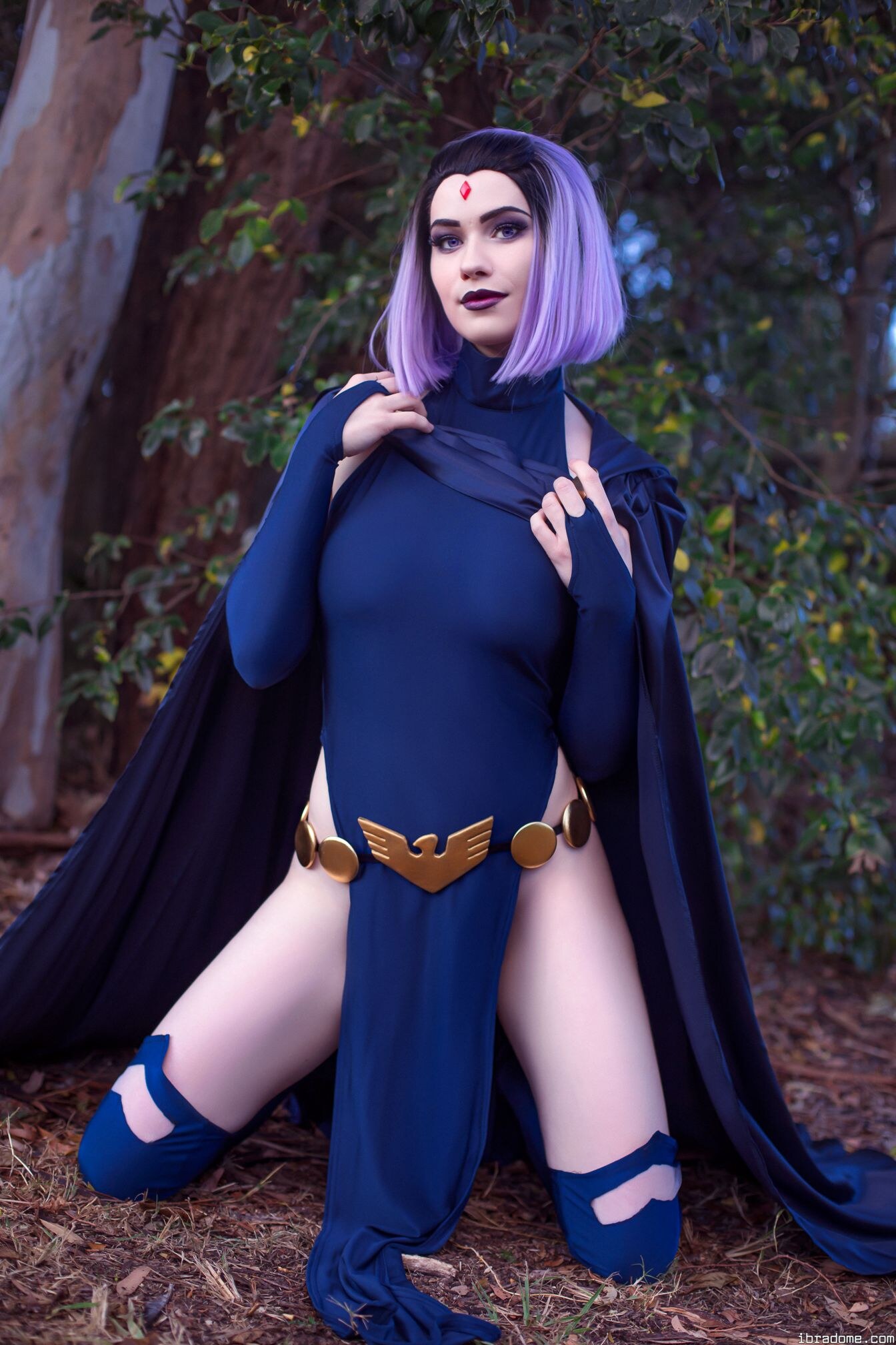 Nichameleon Raven 53964