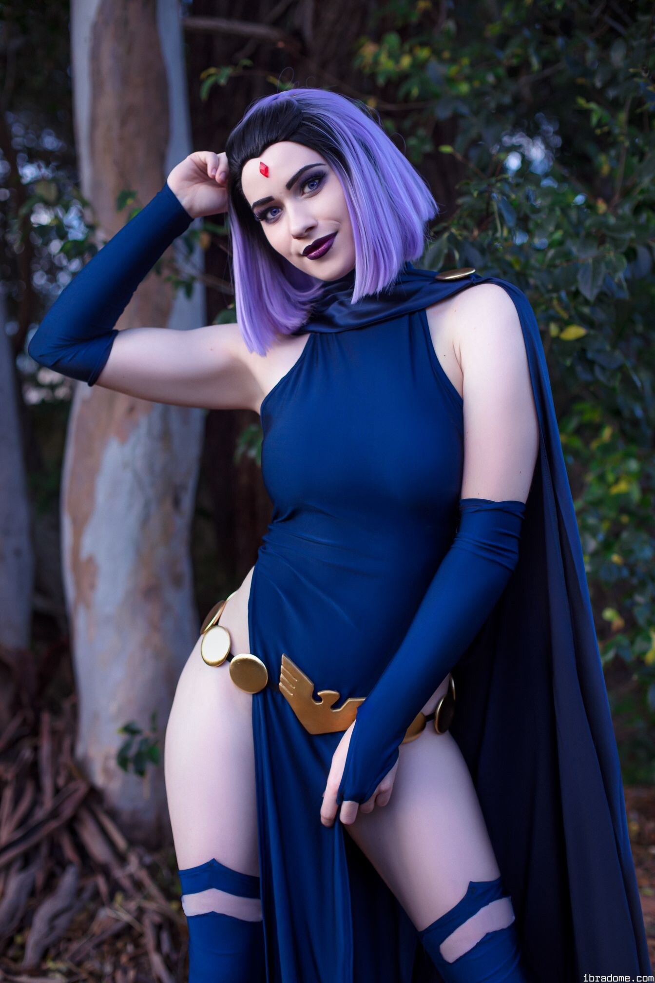 Nichameleon Raven 53972