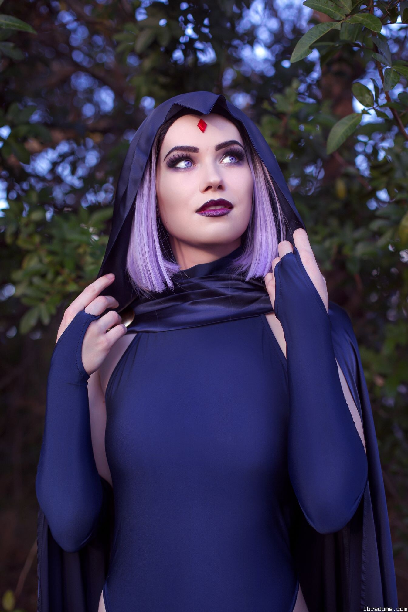 Nichameleon Raven 53977