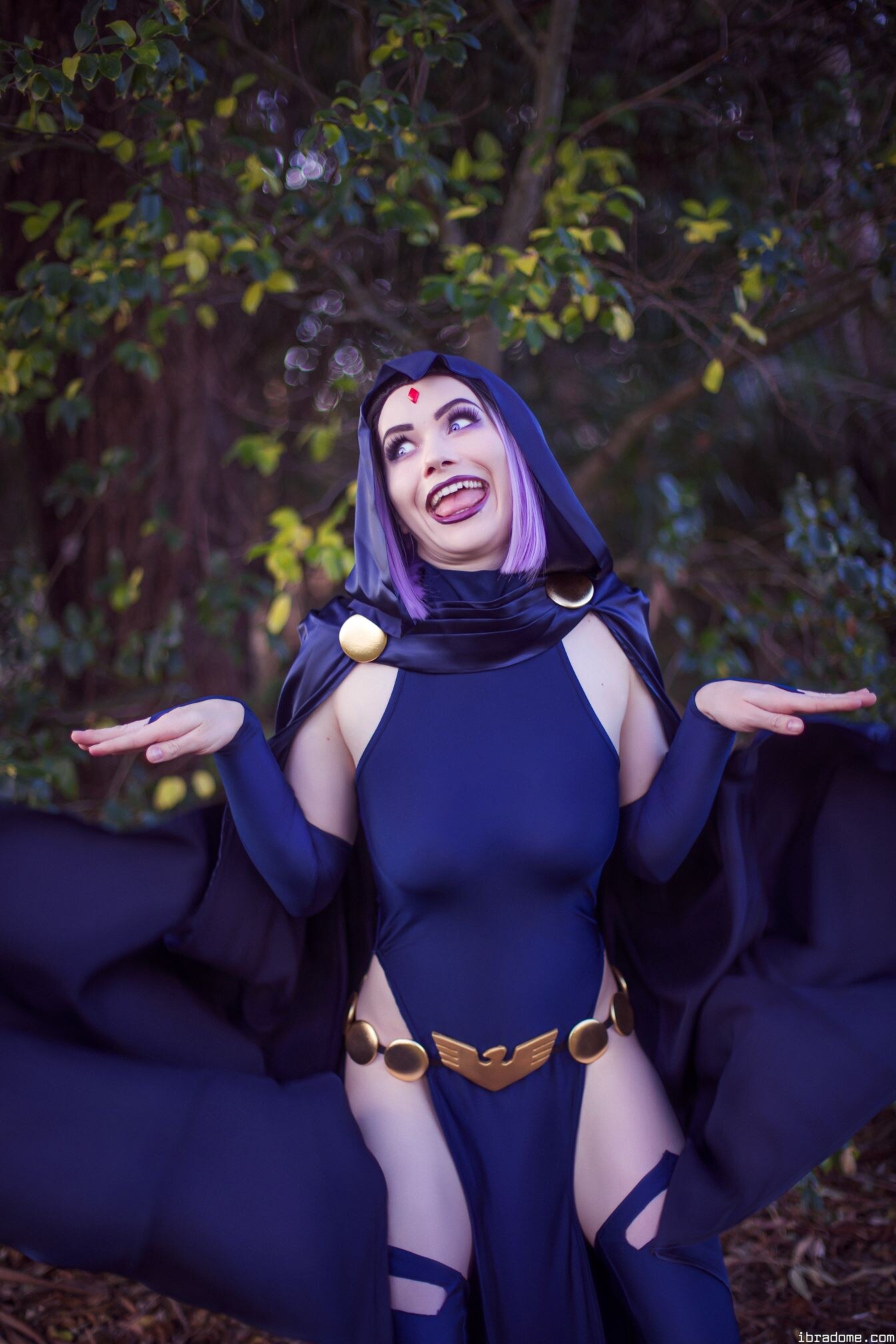 Nichameleon Raven 53984