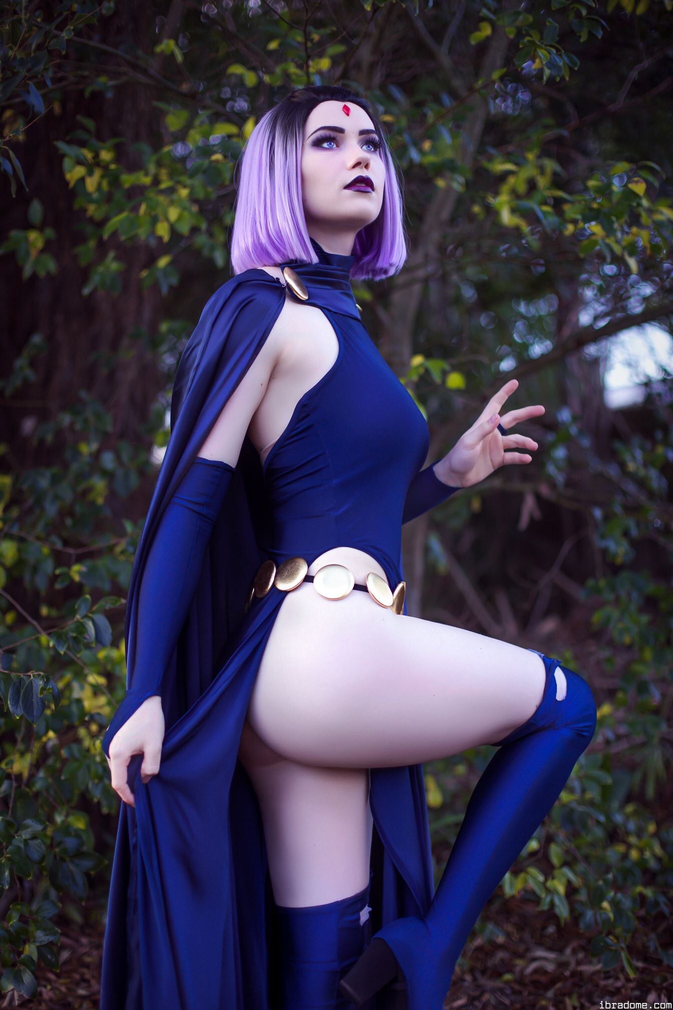 Nichameleon Raven 53985