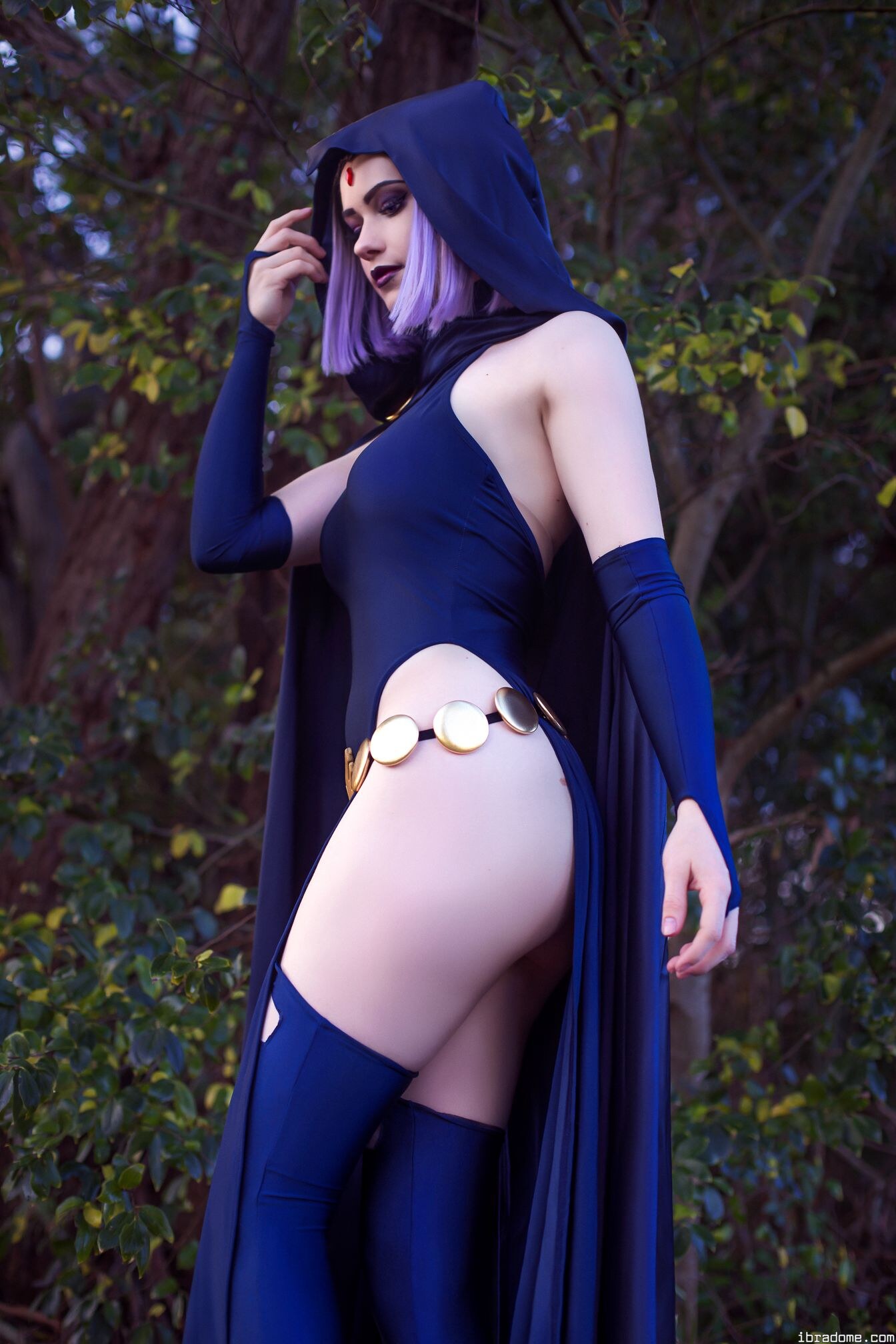 Nichameleon Raven 53989