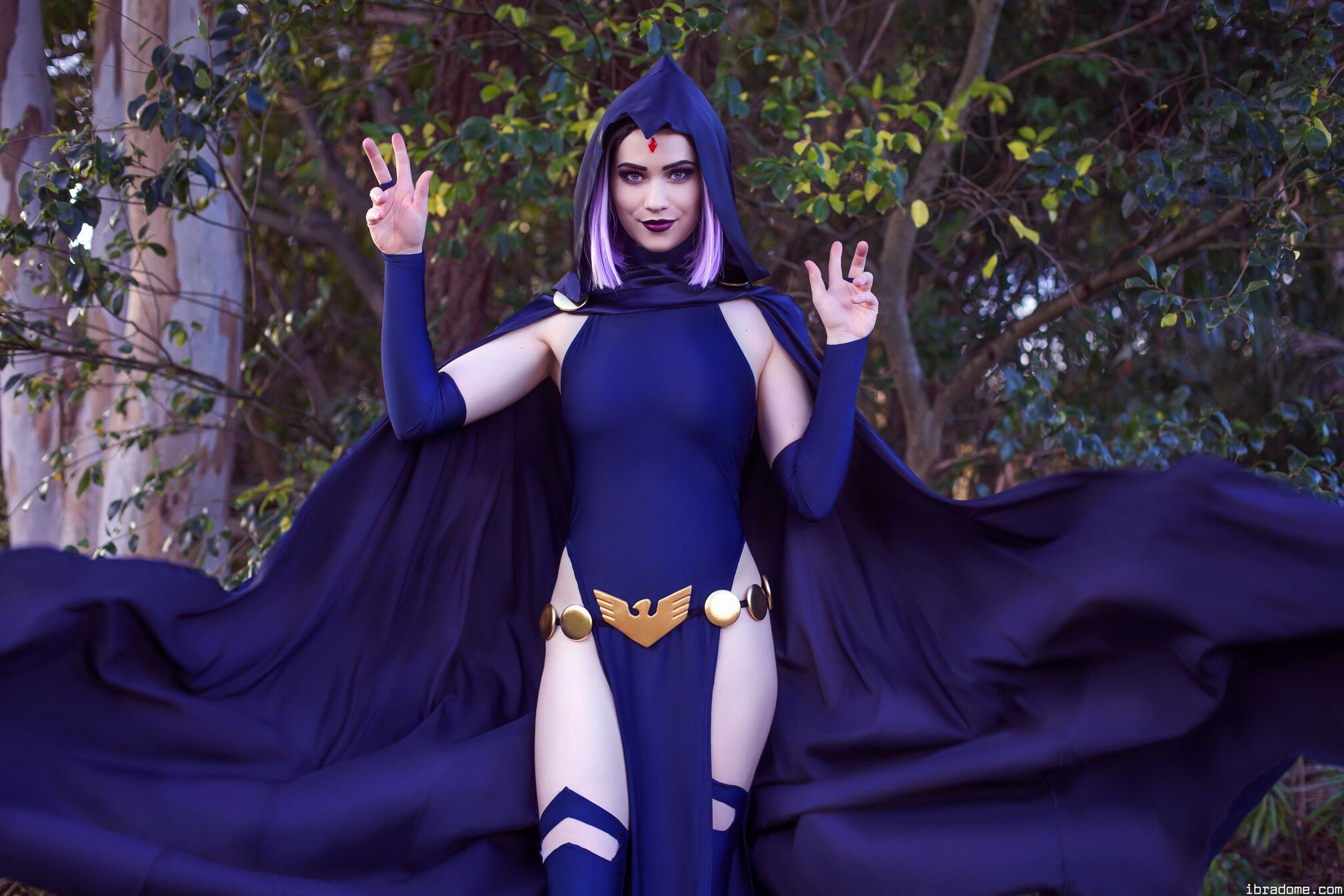 Nichameleon Raven 53997