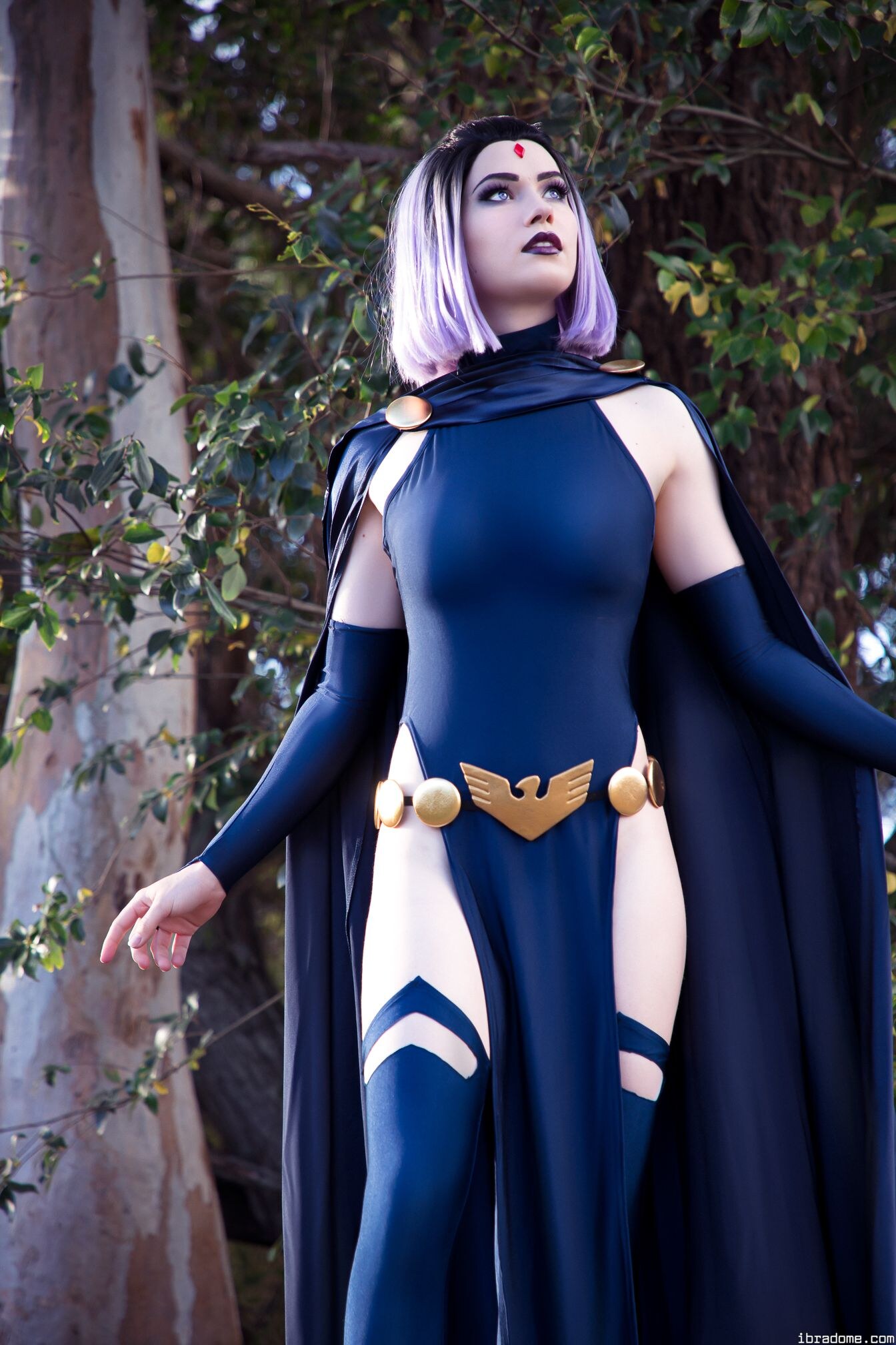 Nichameleon Raven 53999