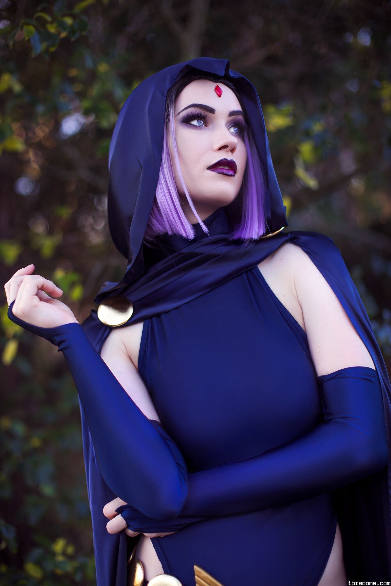 Nichameleon Raven 54003